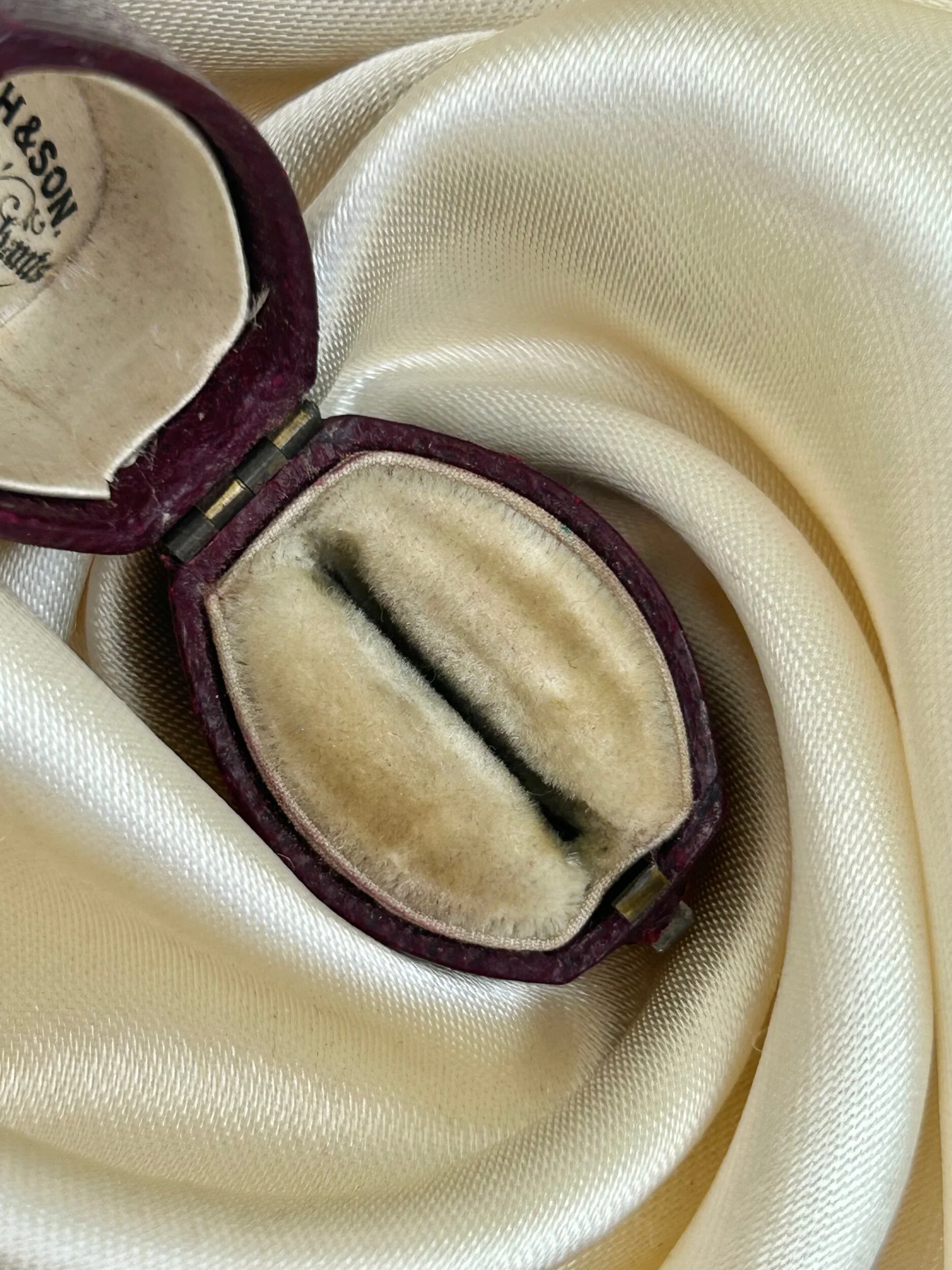 CE93419F-60A8-42AD-BFD4-1B35E5E1741D