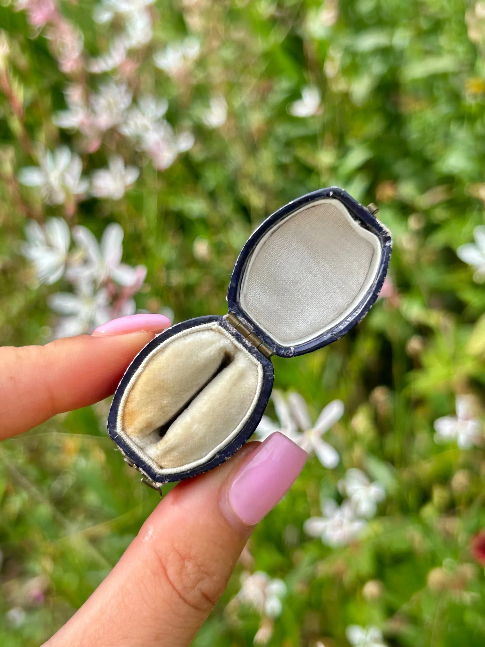 F59E8469-3F60-4316-8529-603F210AB7F9