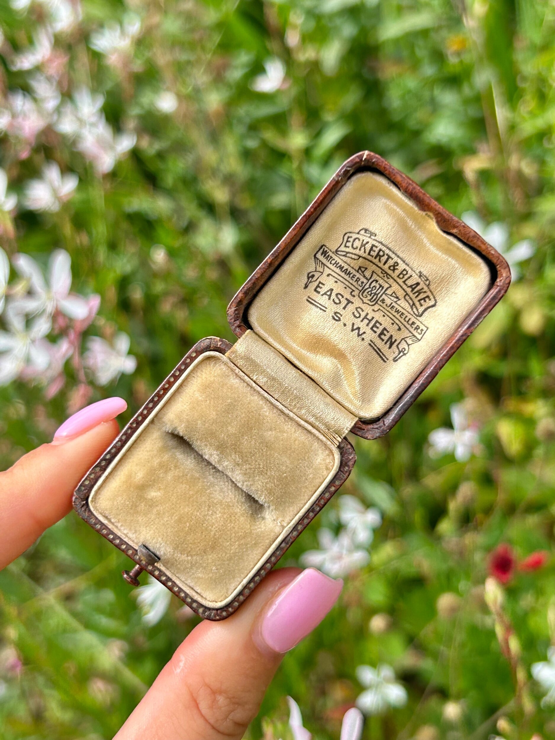 402378D6-BC98-4D57-B99B-FA2EF50F1EAE