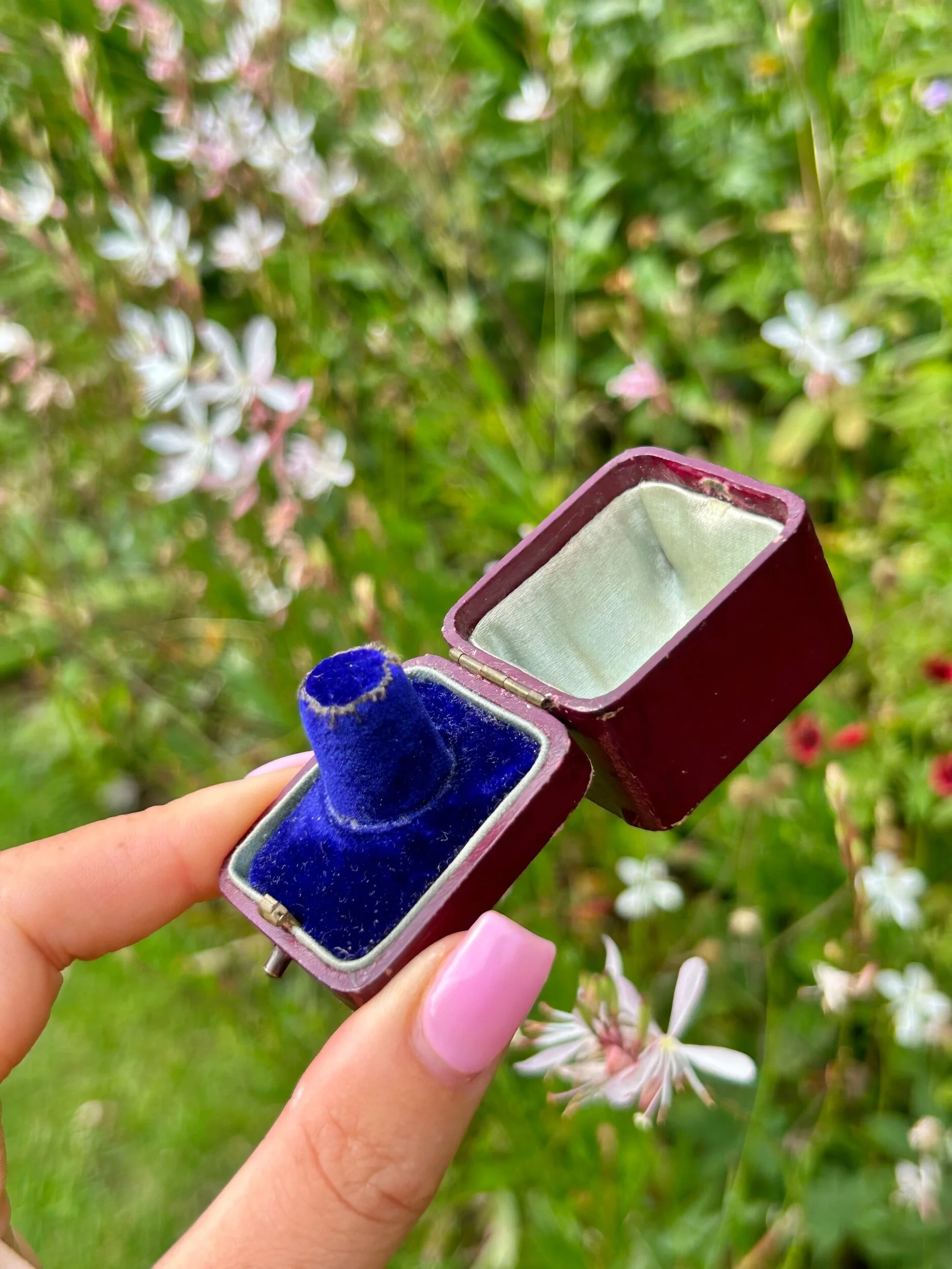 B7783A57-4491-4911-B711-5D499D6EF637