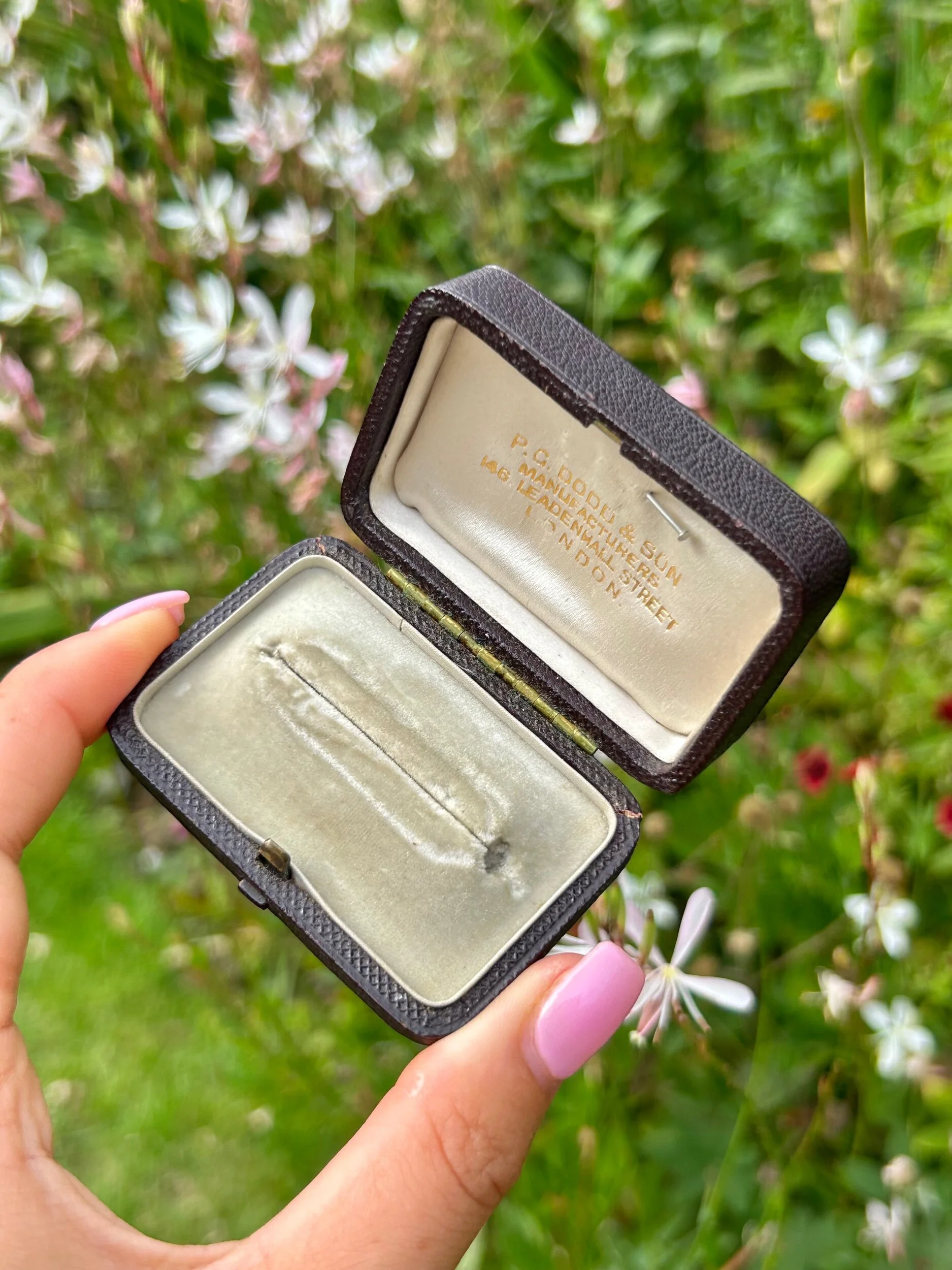 CFA74A2B-F7C1-458F-B98E-2A22B193B899