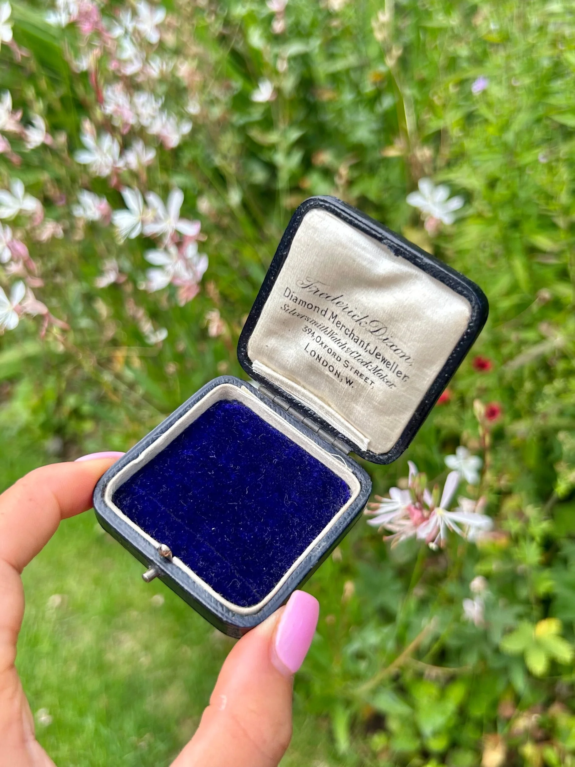 B757E56D-E866-4ADB-BA12-26D4C8041616