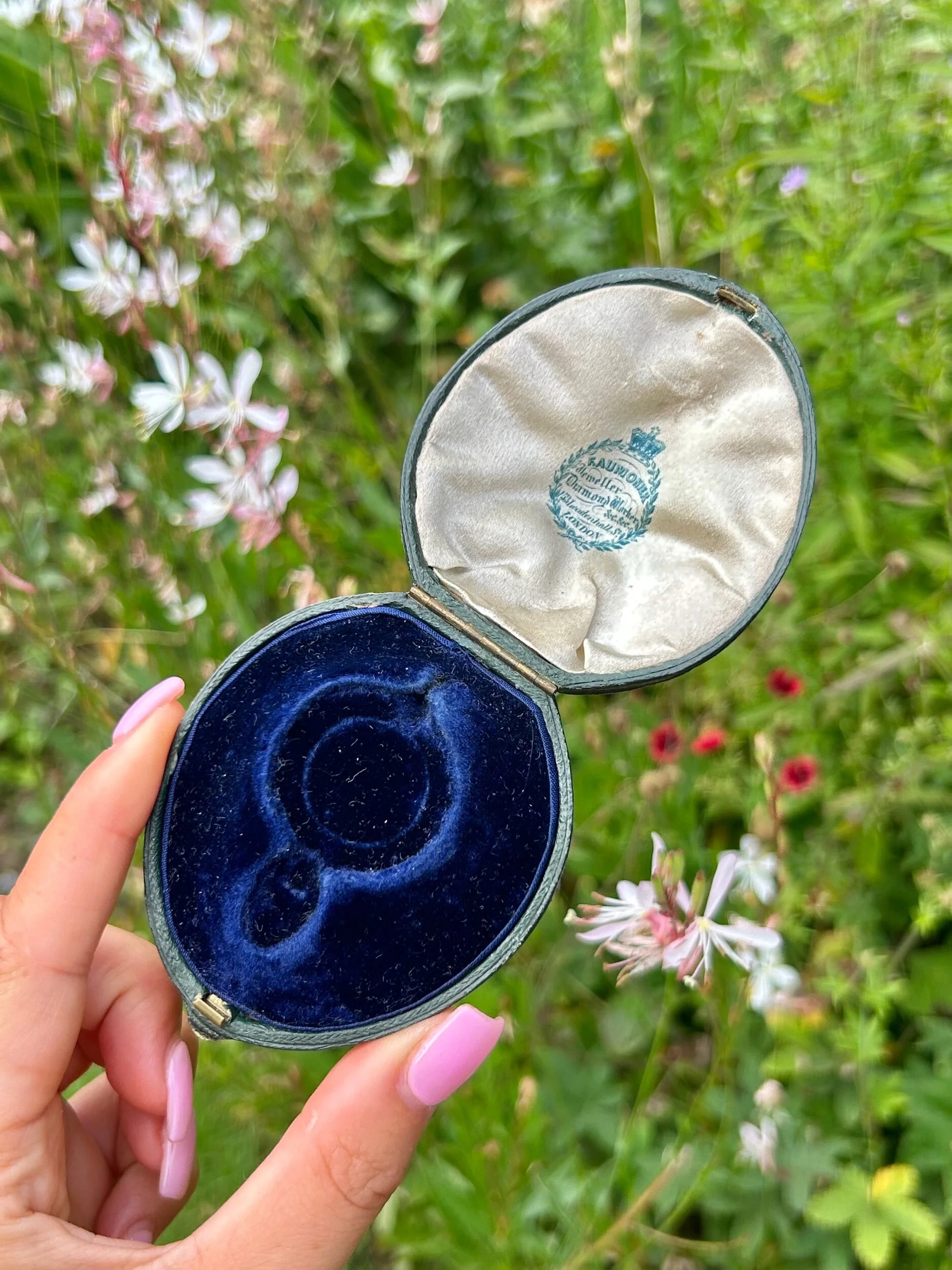 1F54AE87-610B-440C-A5CA-A7F277911828