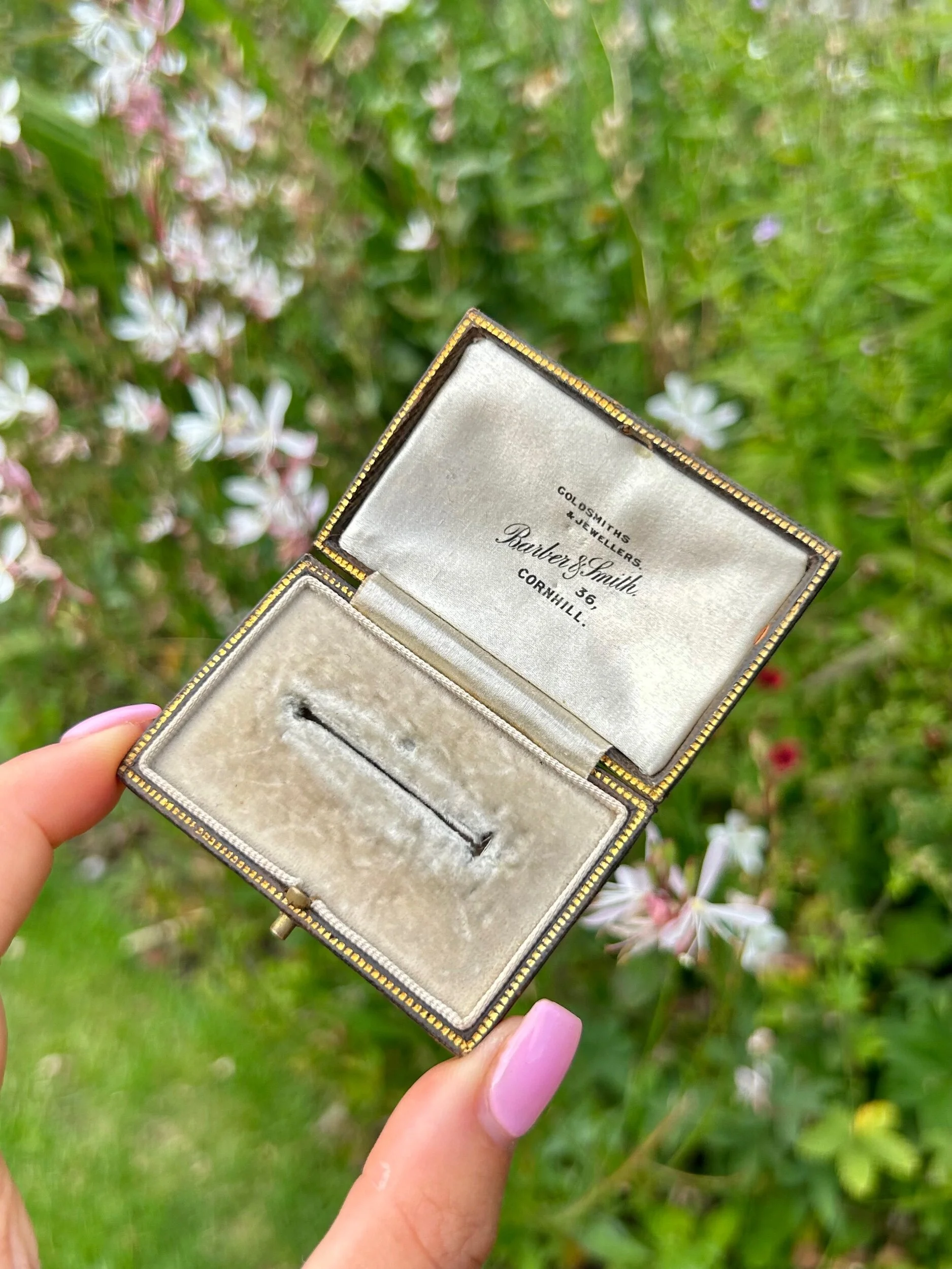 E49C7D8E-89DD-46D9-AF79-4C8E5A20257F