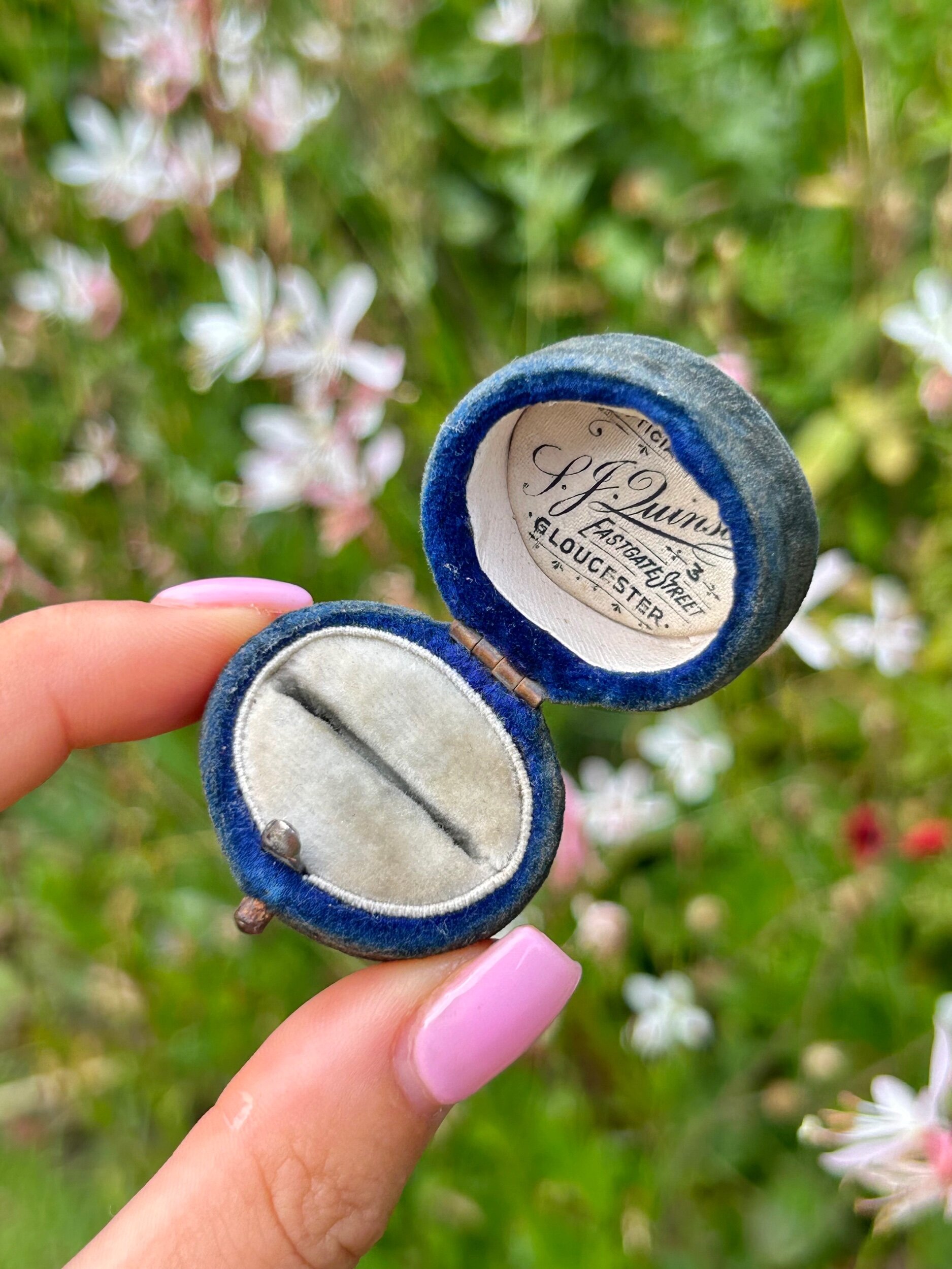 65E0C01D-0970-4B96-884B-5E9C386B1656