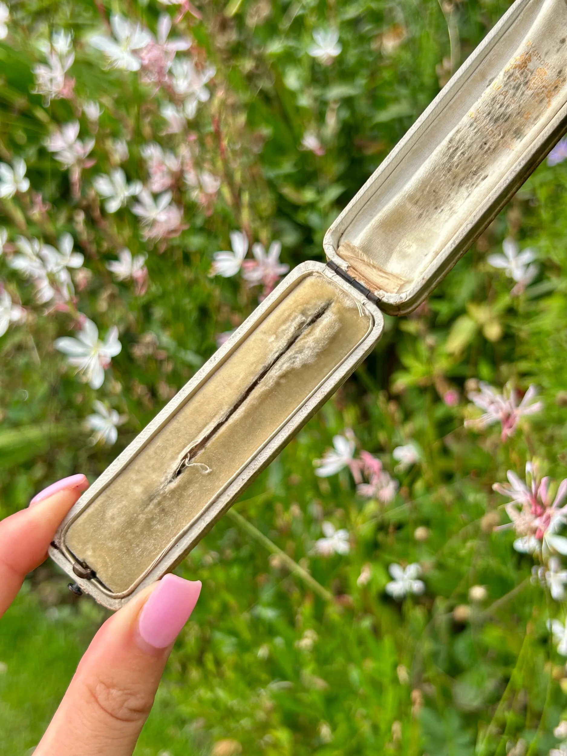 0141FDCB-52A3-4CE8-9A07-4C03A4C5D2E5