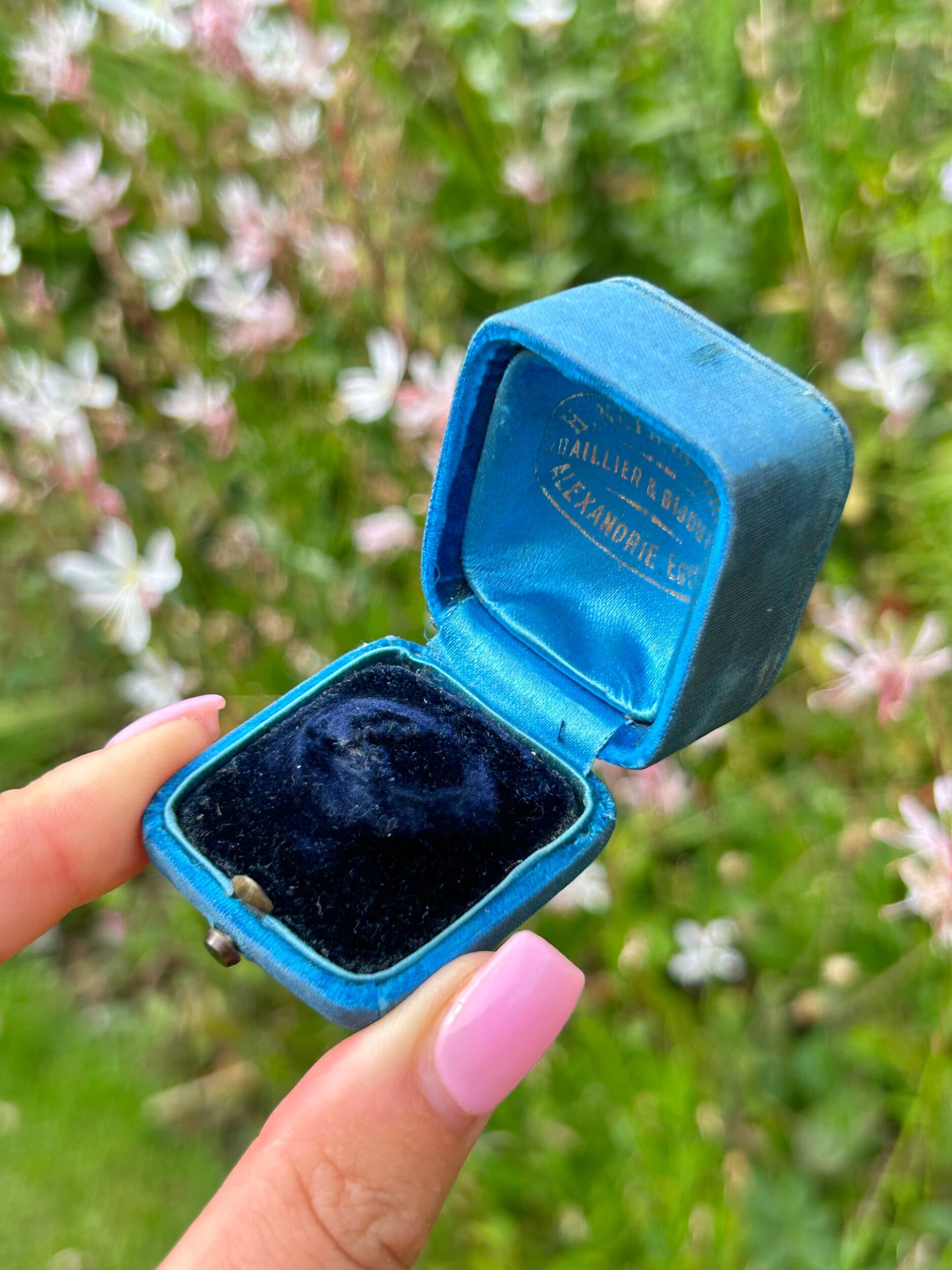 43F7E5CC-FF70-4D89-BFD2-48CEB2F401A2