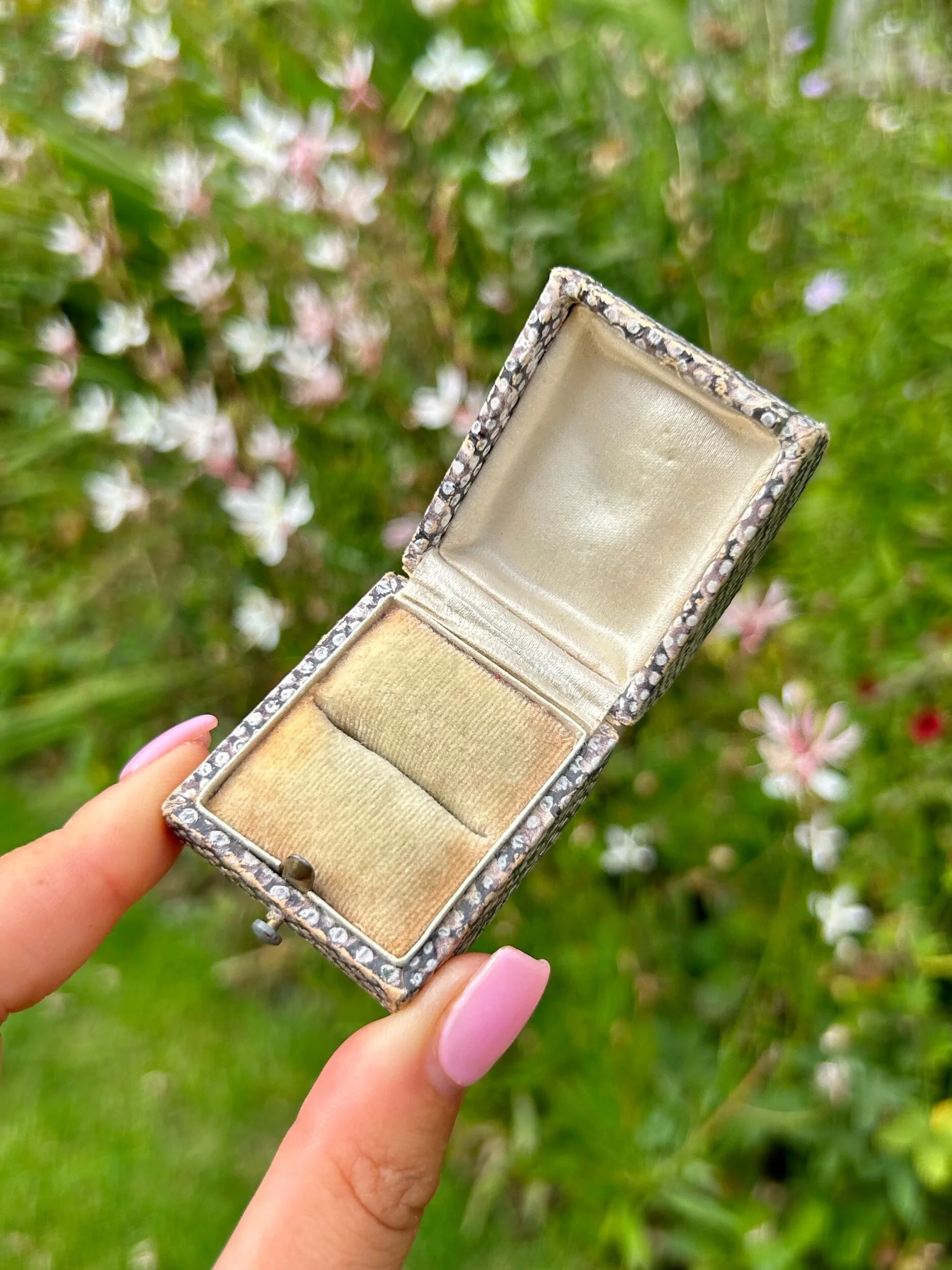 7556A811-11E9-4B7B-BA76-B8431FF7A9B1