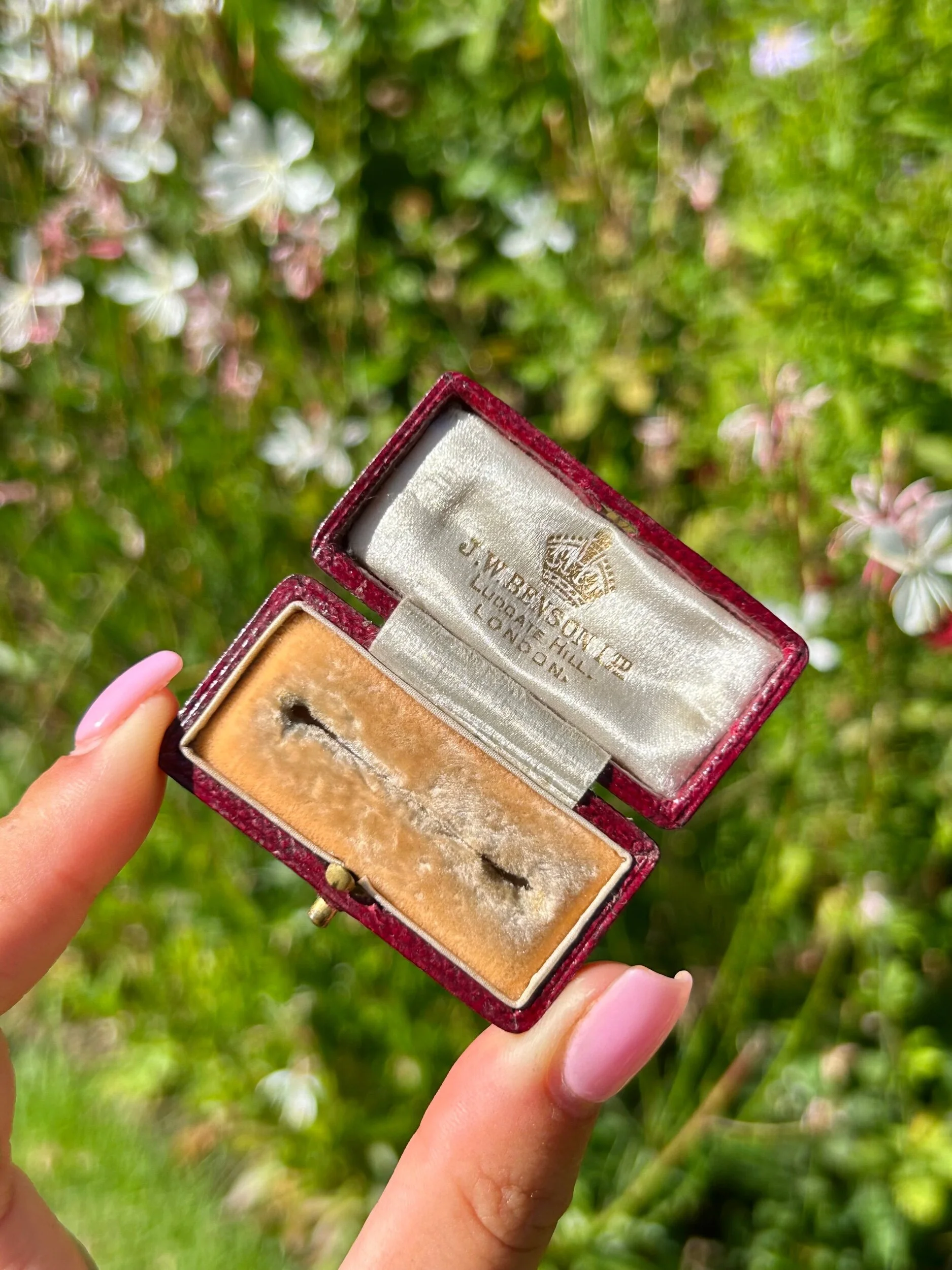 BDAF16D3-FDF8-4062-9B6F-C7384C8EF68D