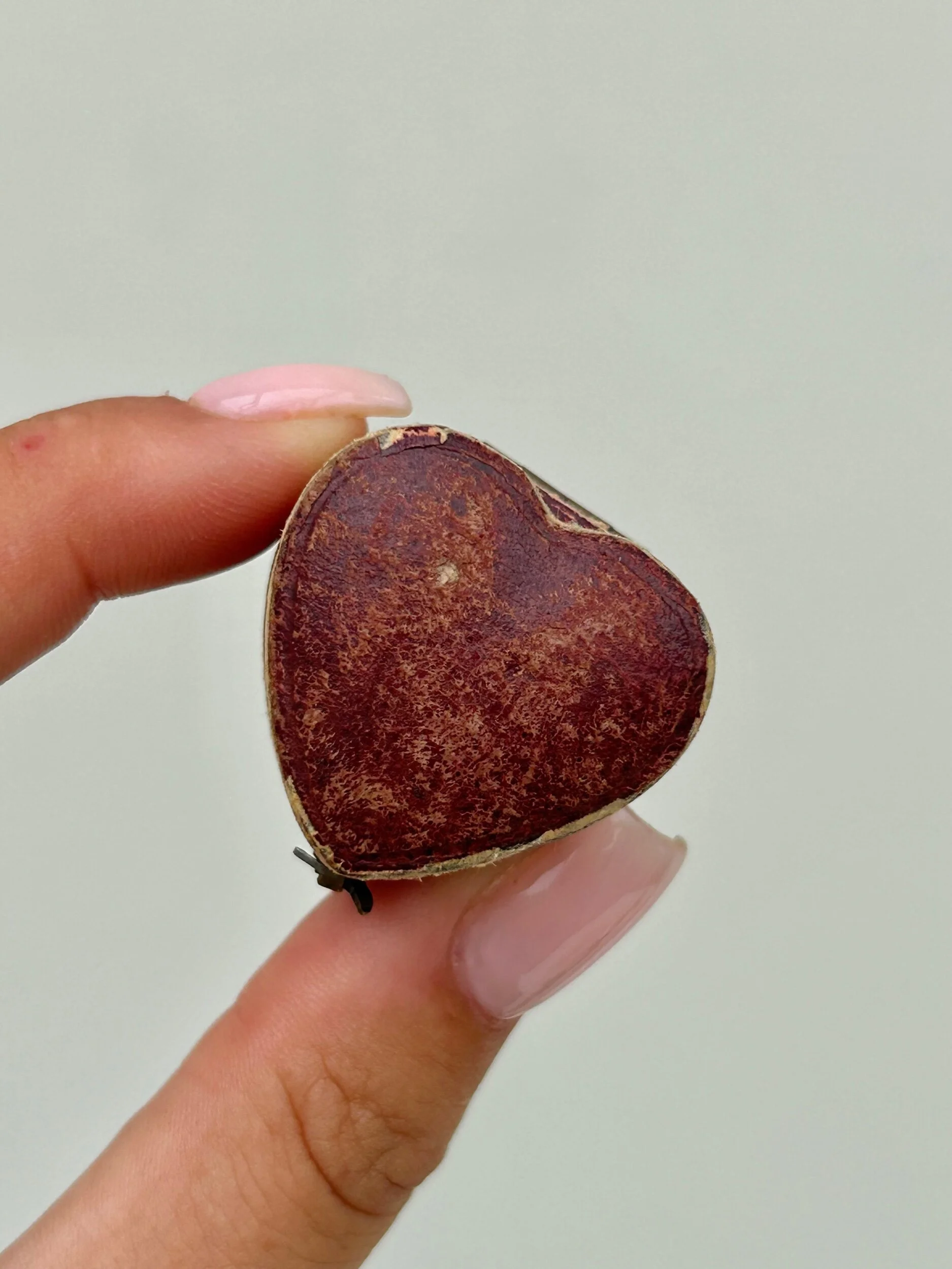 3CEC8711-AA23-486B-8B5A-831D3ECC6470