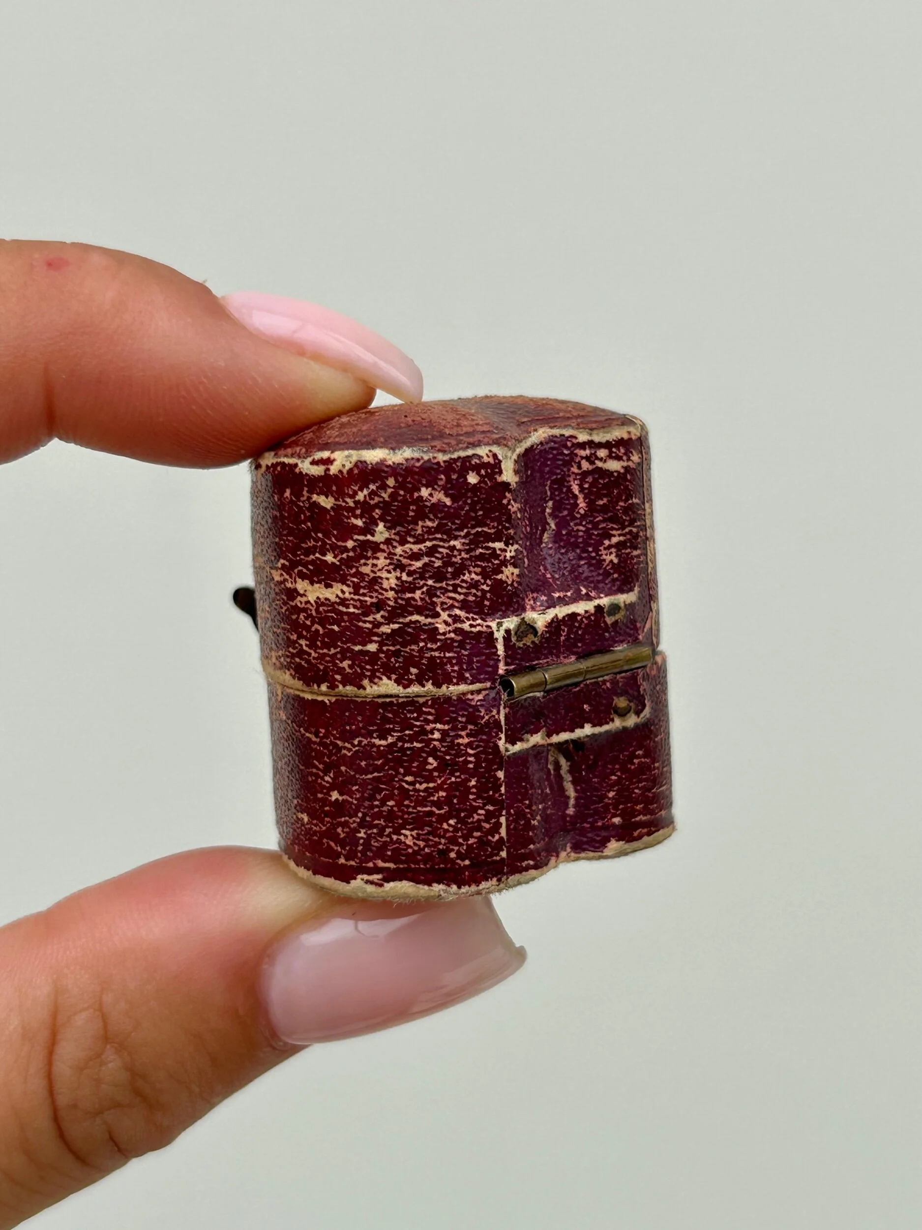 FCEEC378-211B-4C41-9395-C649897FC5DA