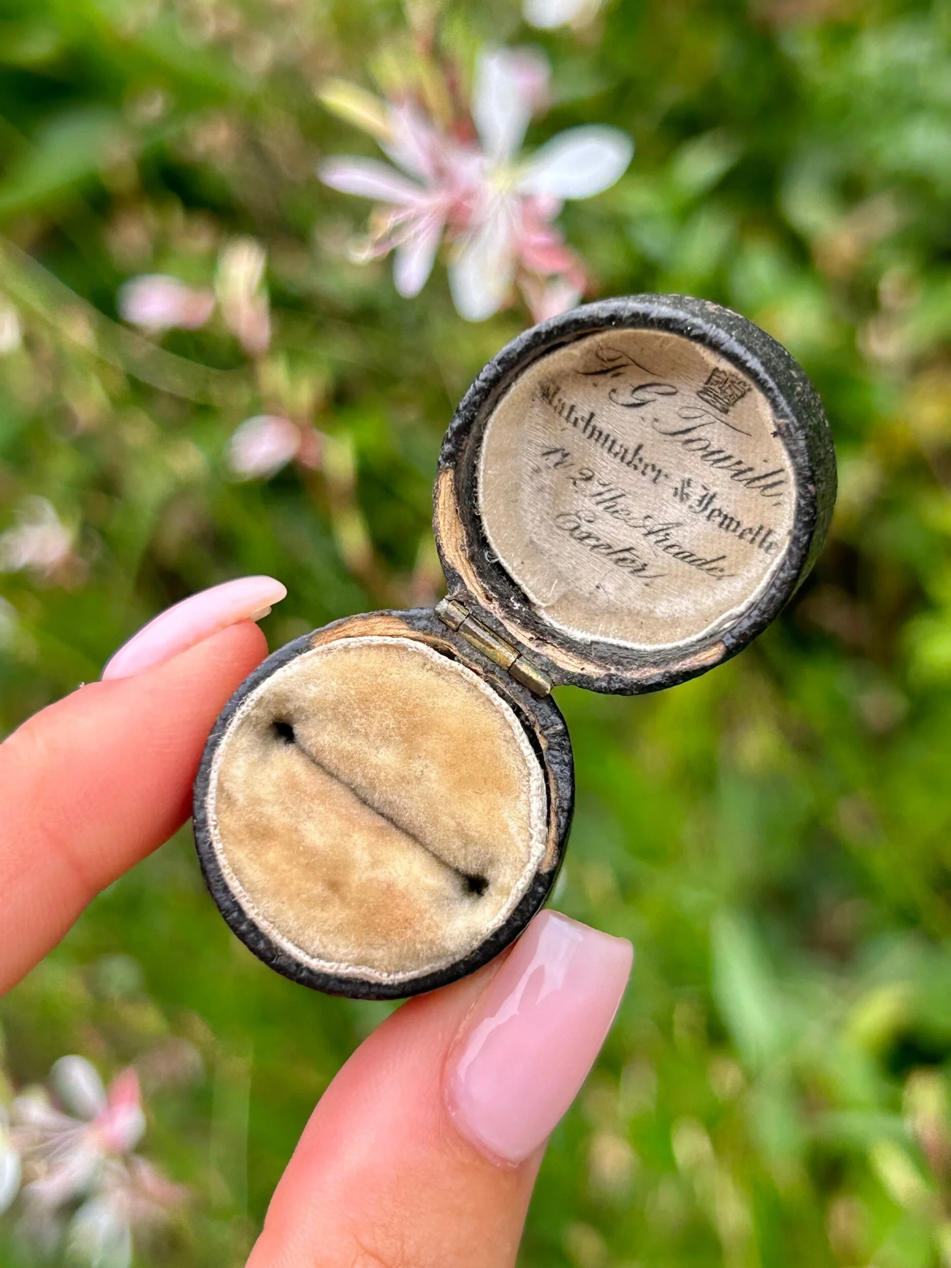 5E4693DF-A34F-4453-94E6-3525C3CAFB60