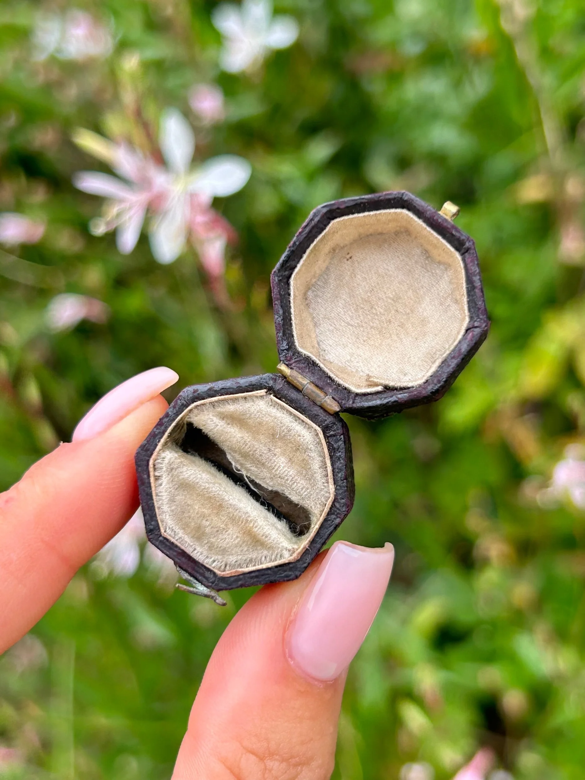 4E3BBB91-C857-4D81-B43C-02E8083F4538