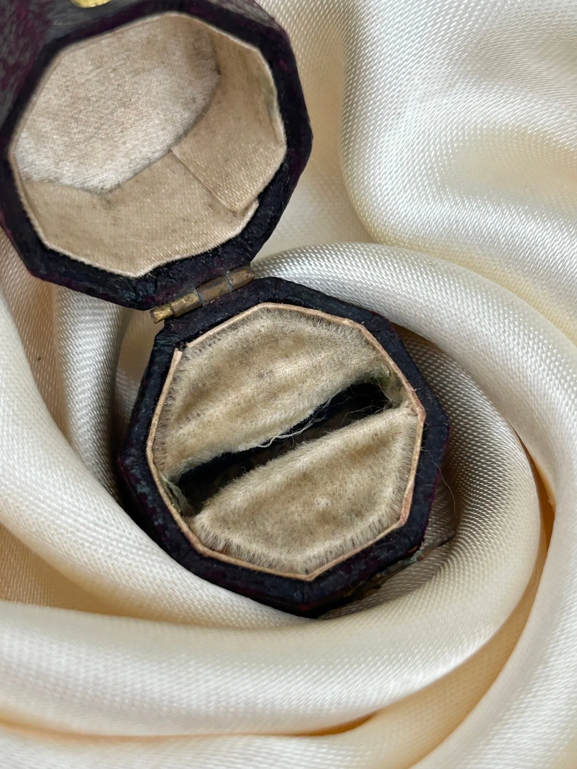 AC5E900F-830A-40ED-B45F-18EB870F3F0F