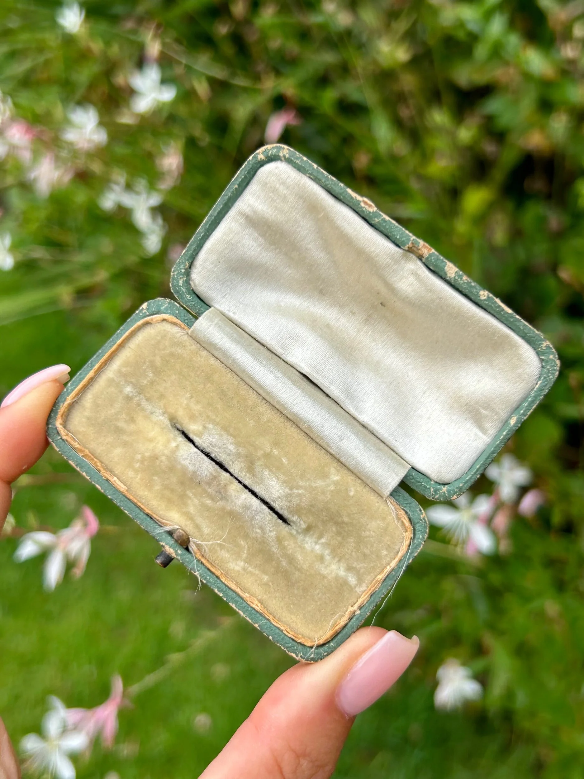 147165AD-6D13-439B-BB9C-8E07D26FA355