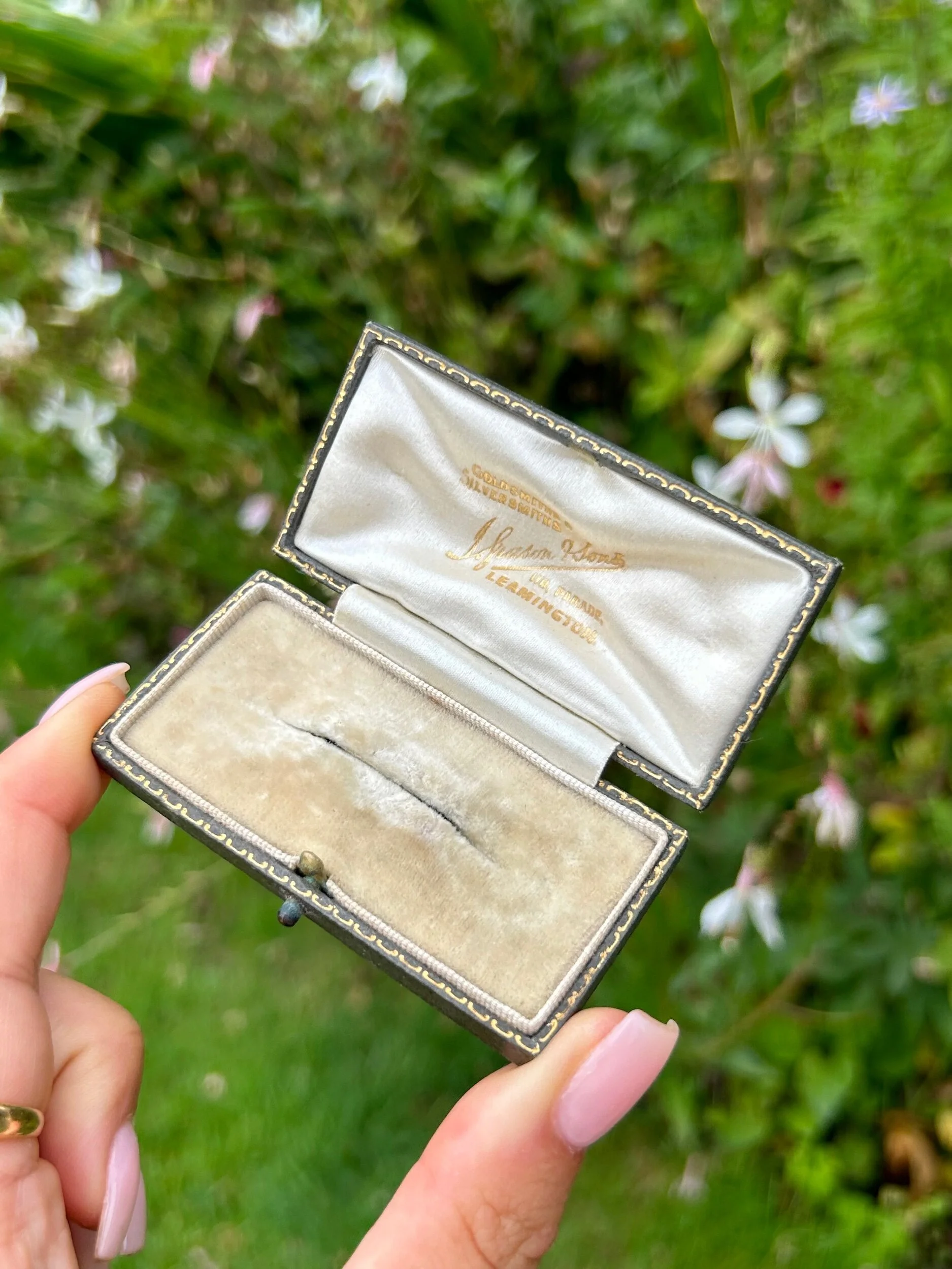 B6A3C888-5153-4C84-BF12-D1C277F97D9F