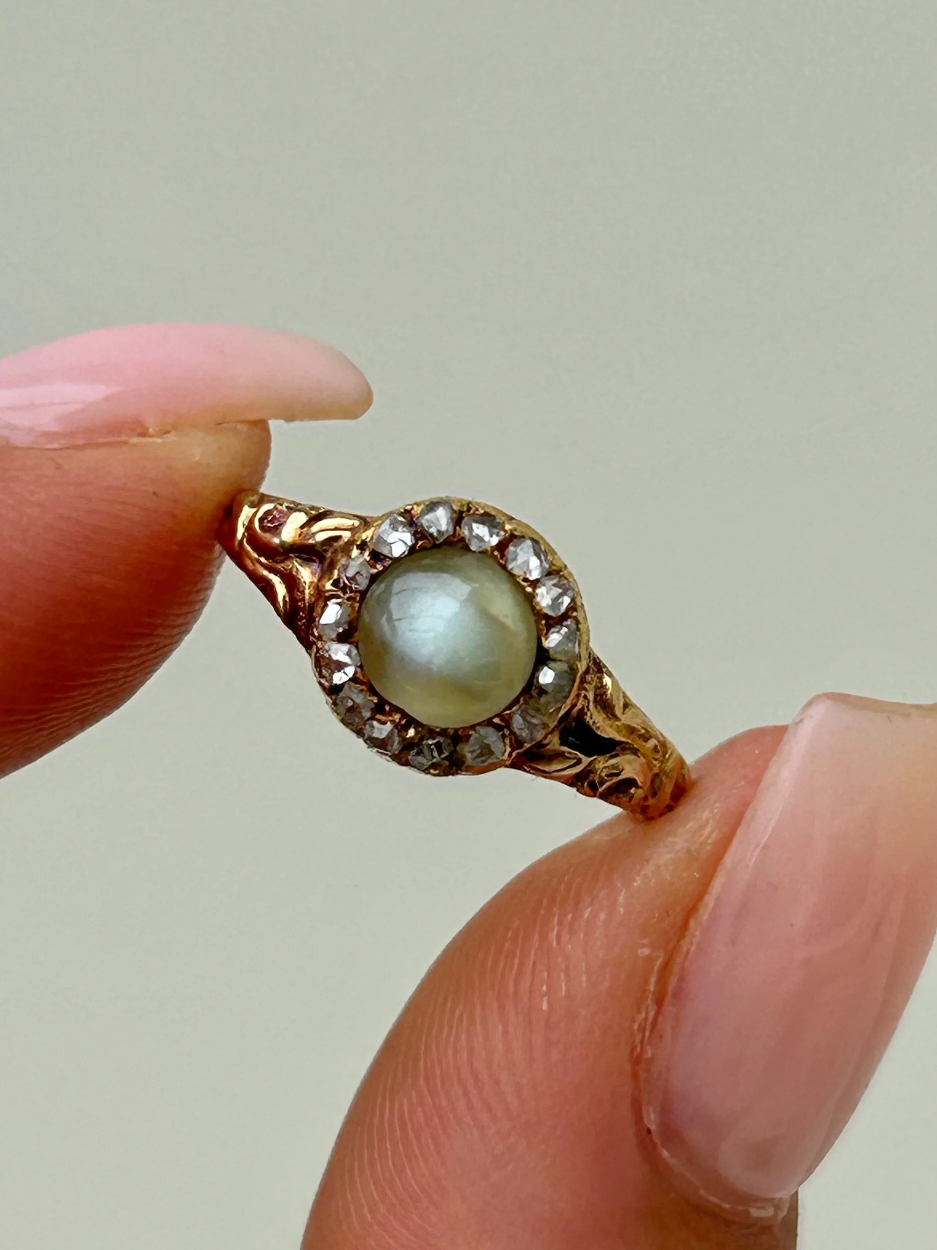 C19DEF58-C9DE-44D0-A558-D1AD6973DA13