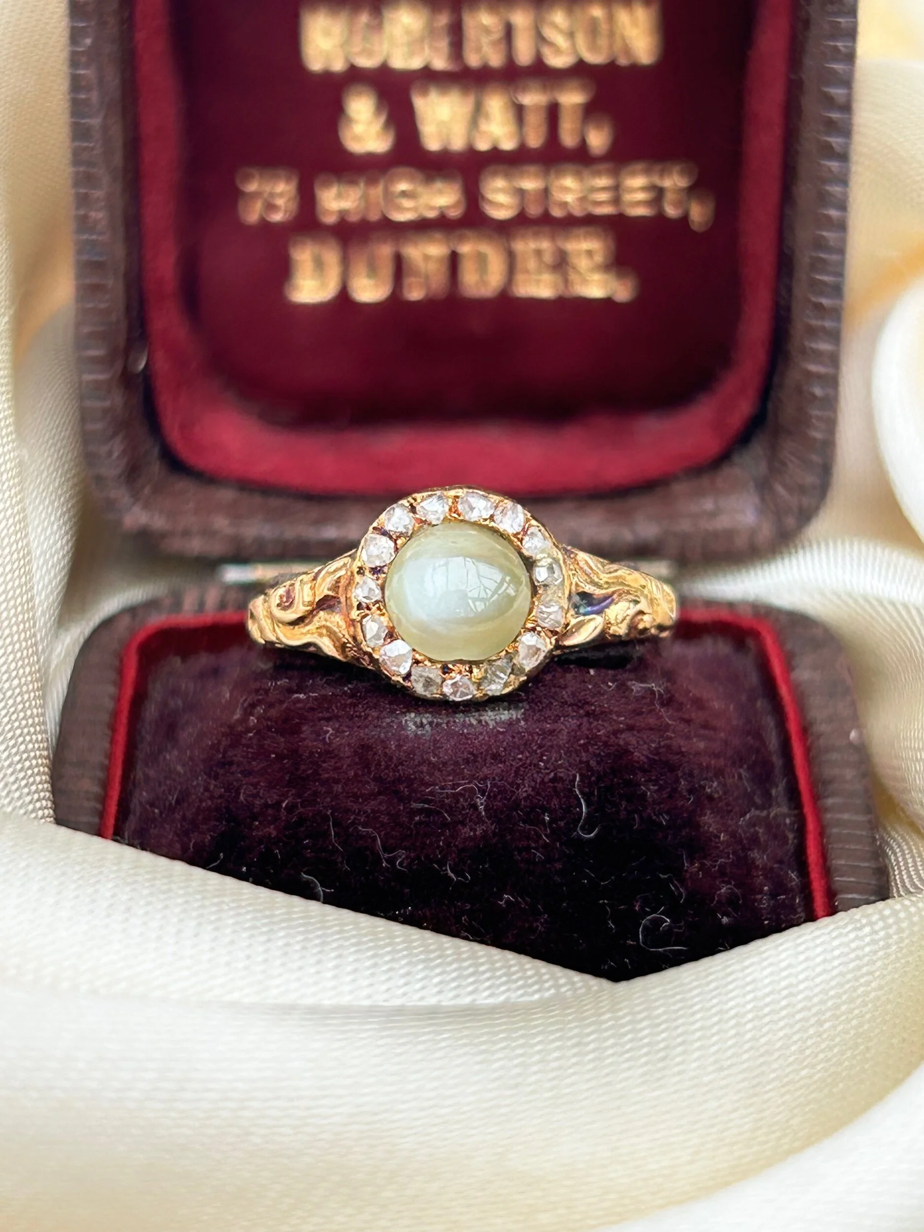 17D386AA-B963-4897-85E8-2F113A5173BC