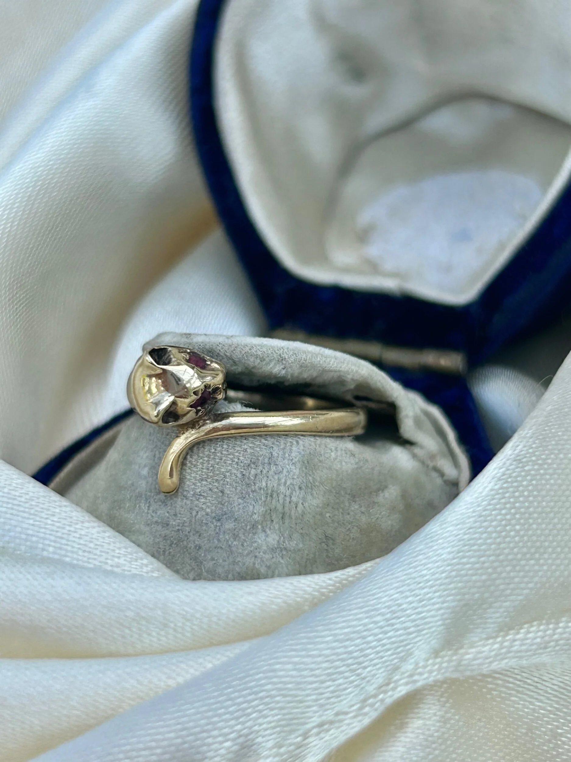 72BDBC17-FA92-4E31-9311-C912EF0C71A6