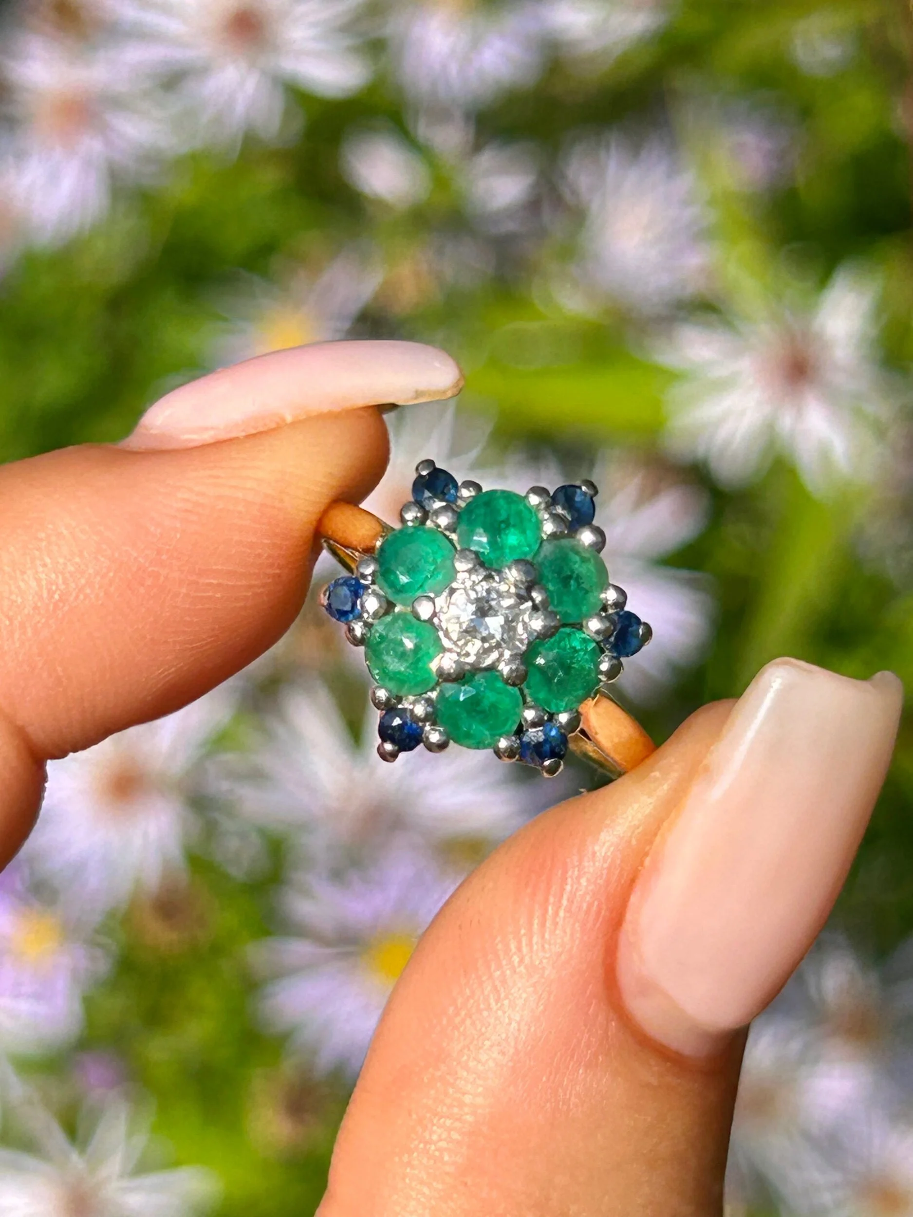 85D0E4AE-374D-4627-95B8-091C0EEB6D20