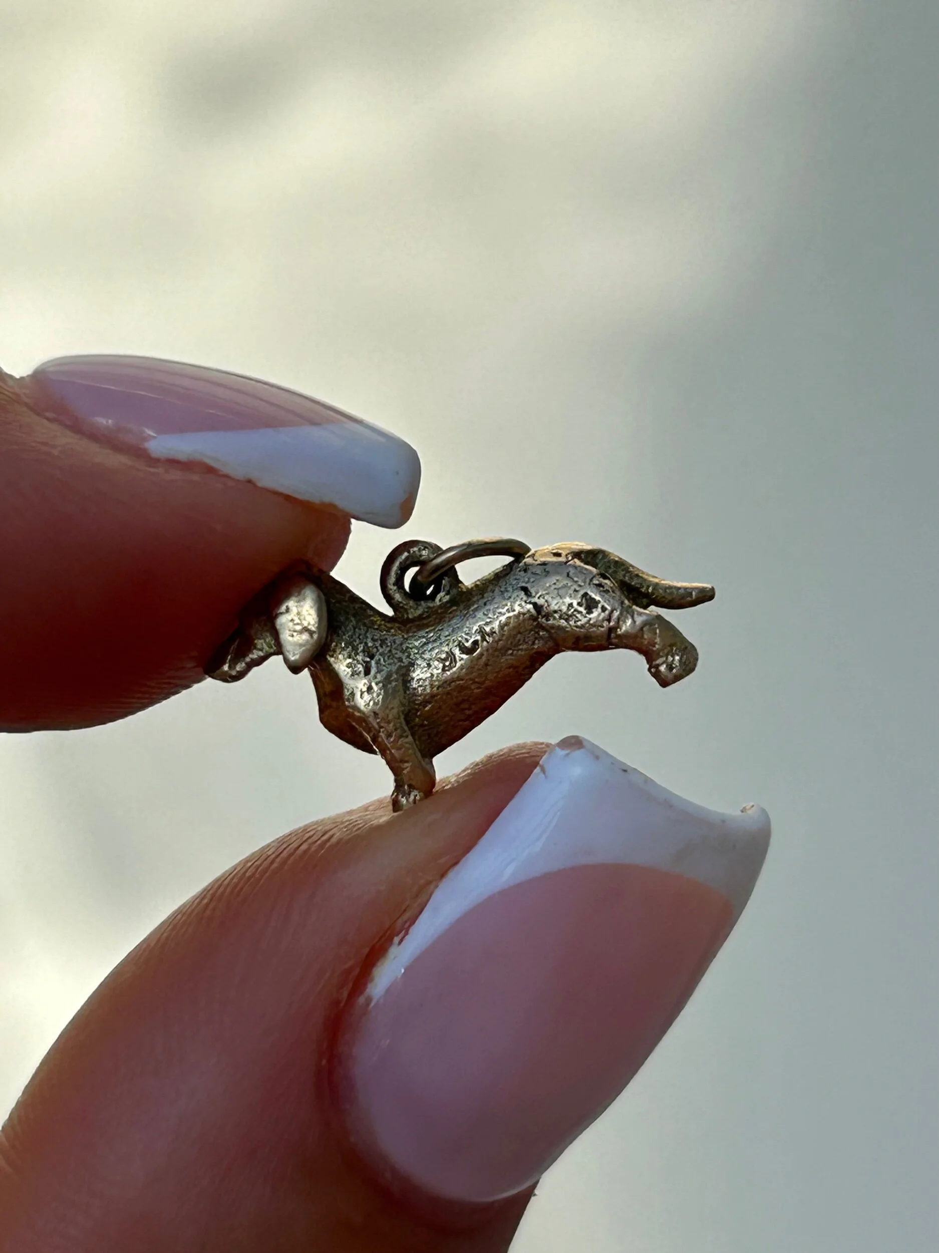 DFFA448E-75ED-4DD9-9962-ED0CE82DE186