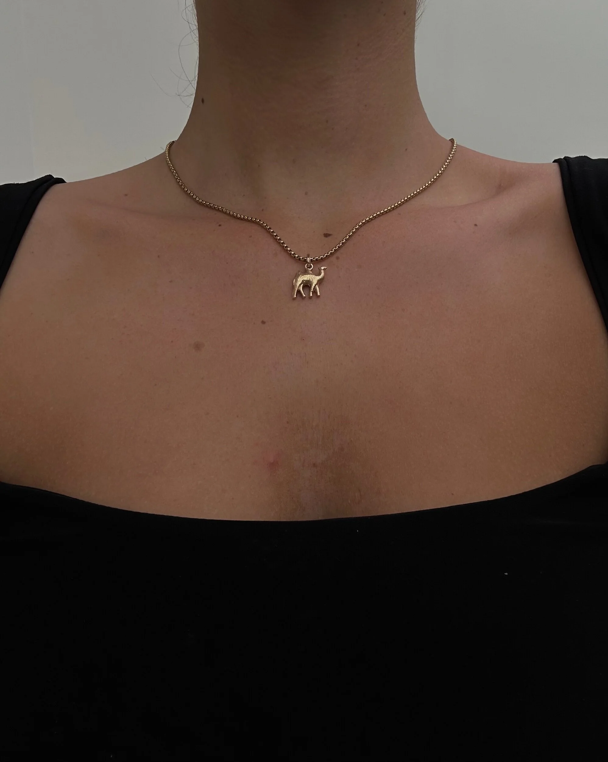 0BB3F587-DCA2-4223-B5B6-59CB41D3F2A9