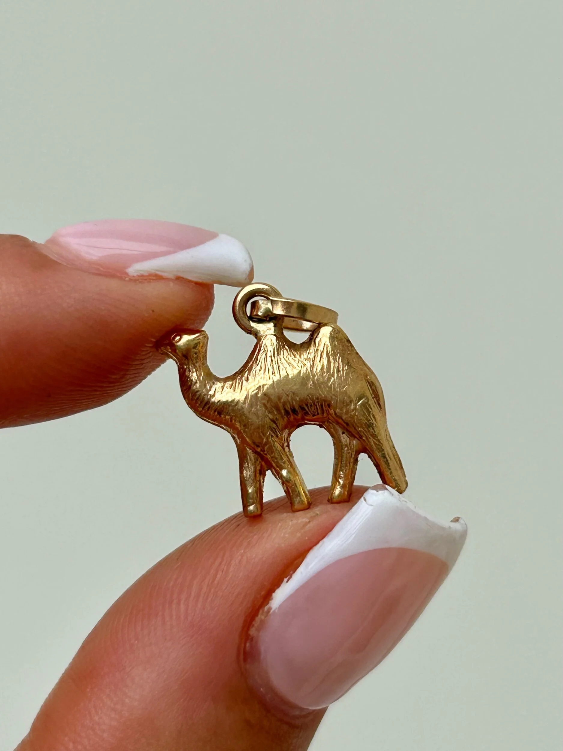 D74EC632-7108-4778-8947-03B1167C76C0