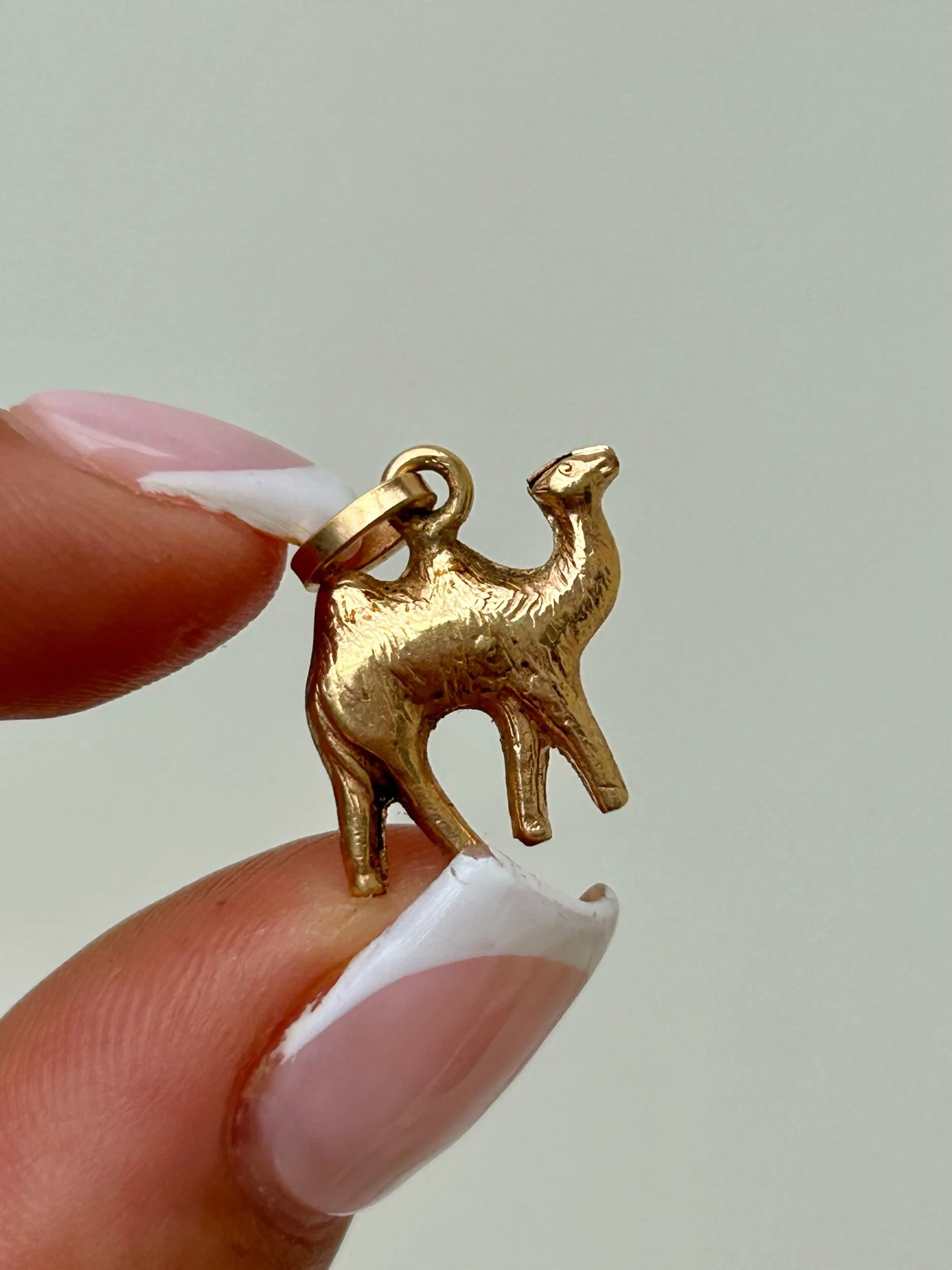 FEE1513D-184A-483A-83BA-9C7EB70677E5