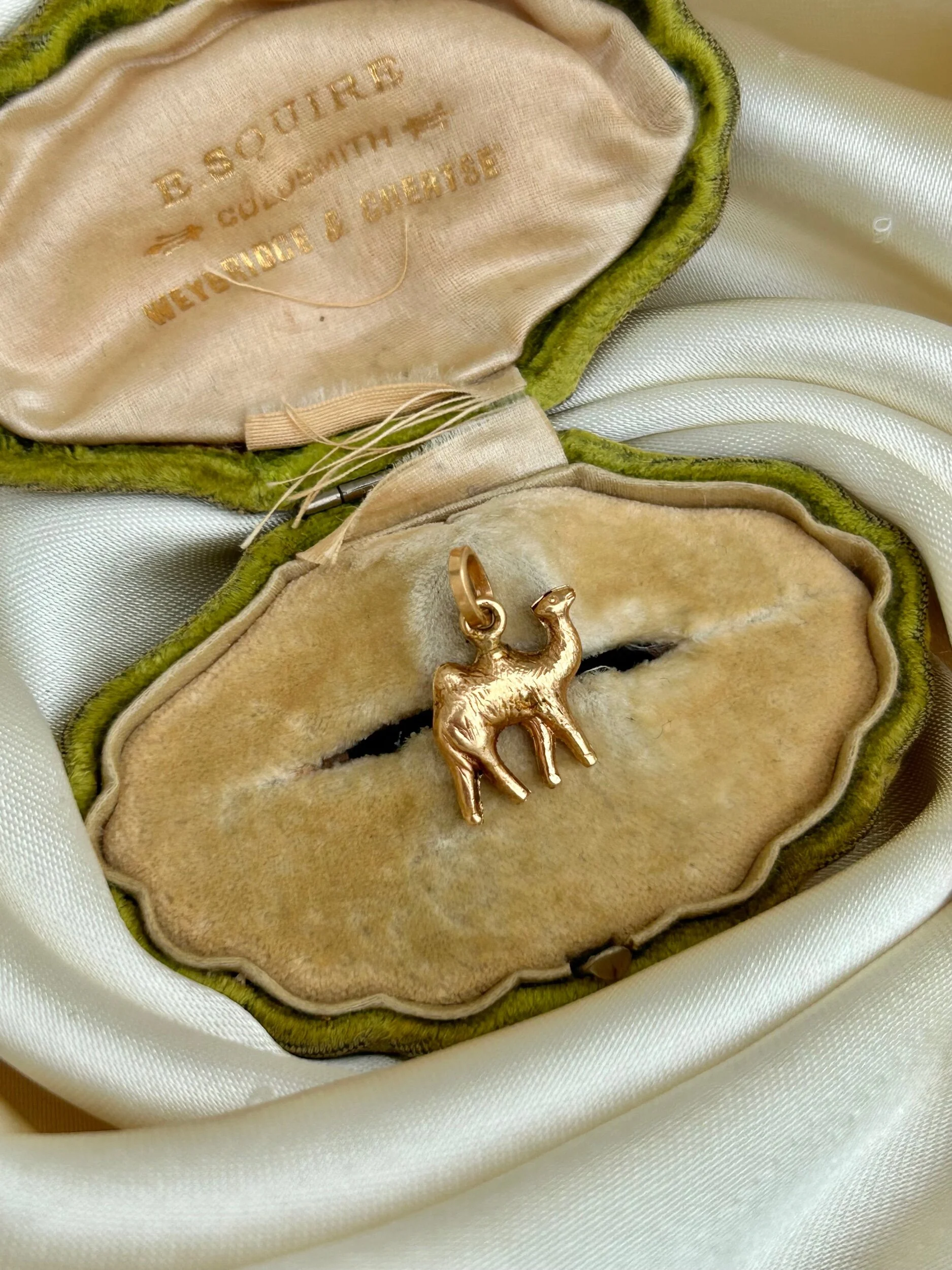 26C45162-7154-4A25-9B85-1D89C2E92E9D