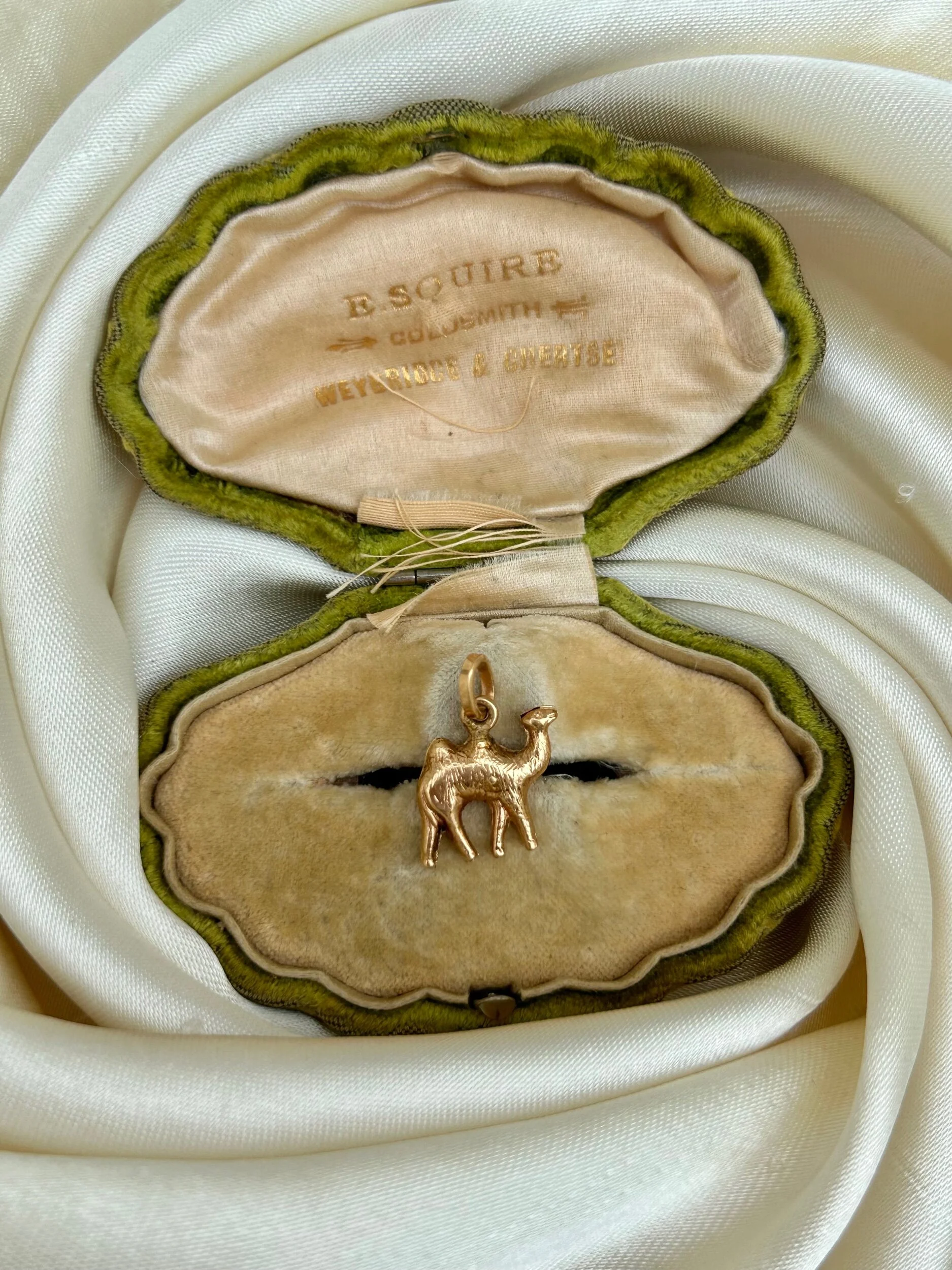 3600E4BC-66C6-45A4-A089-08A7B8D8A869