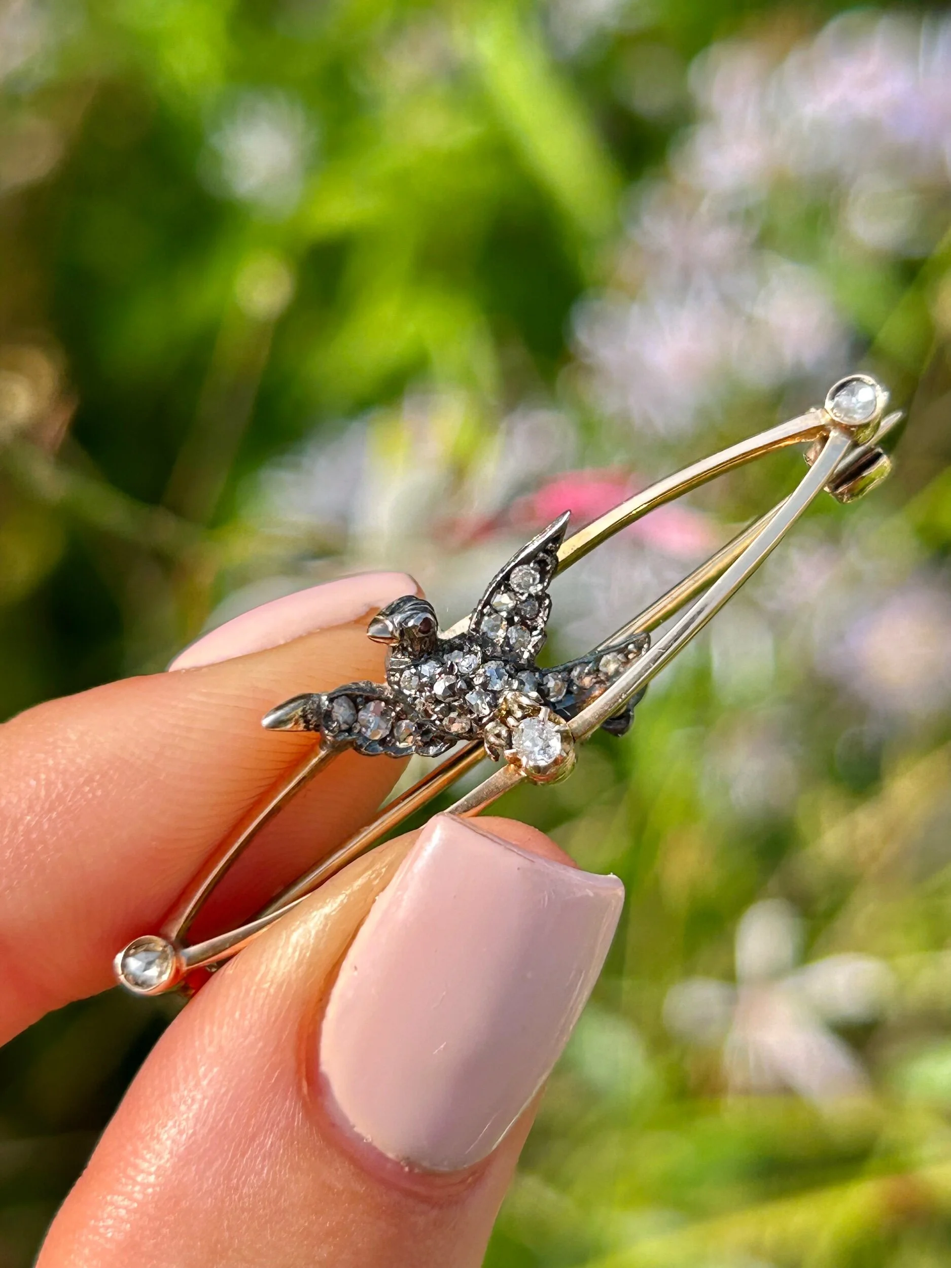 01116EDD-C535-47C3-B5B8-CBEBD0D19DF8