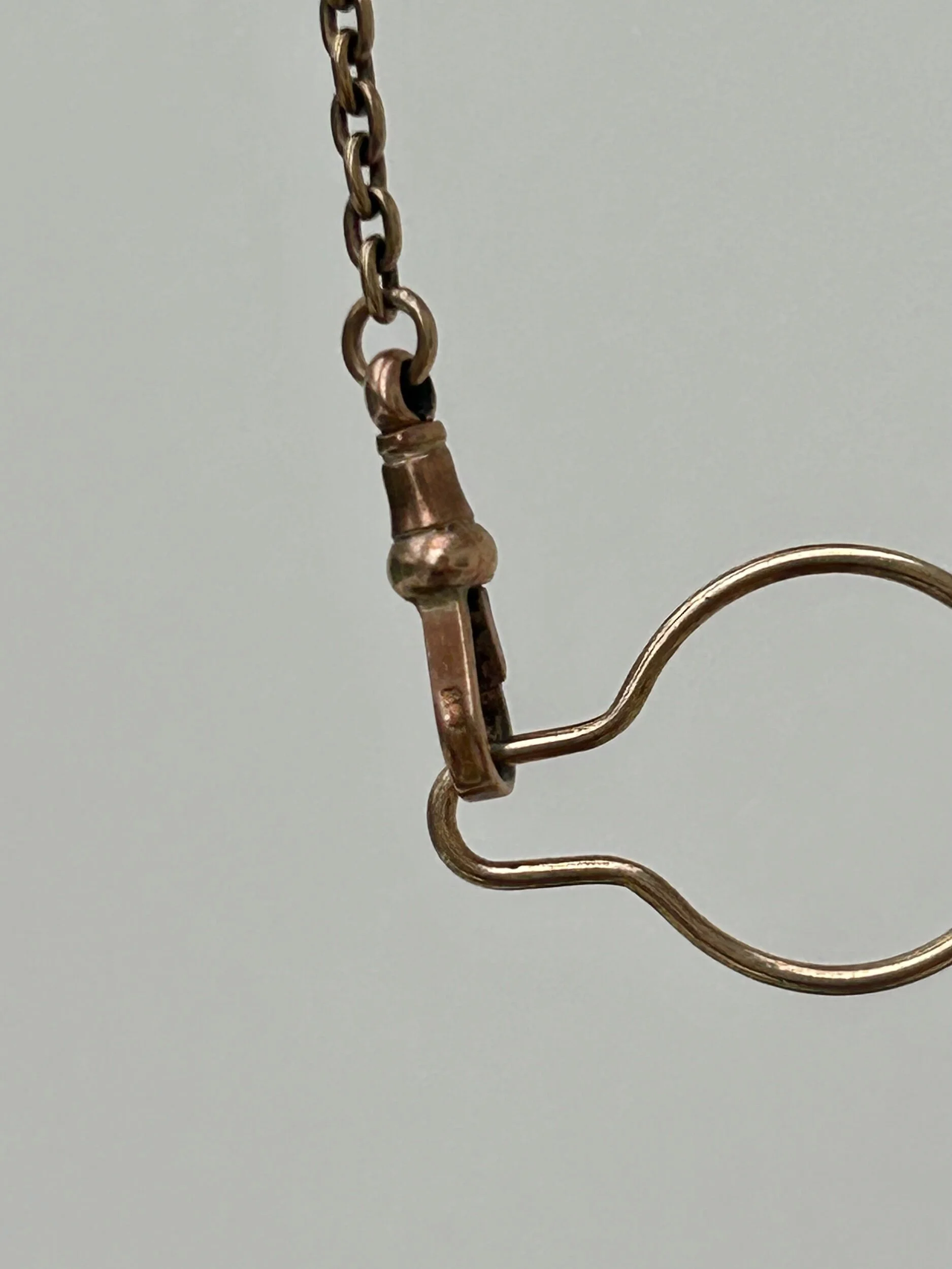 C1BF552E-8F5E-4CFD-8FE4-32220C4BF245