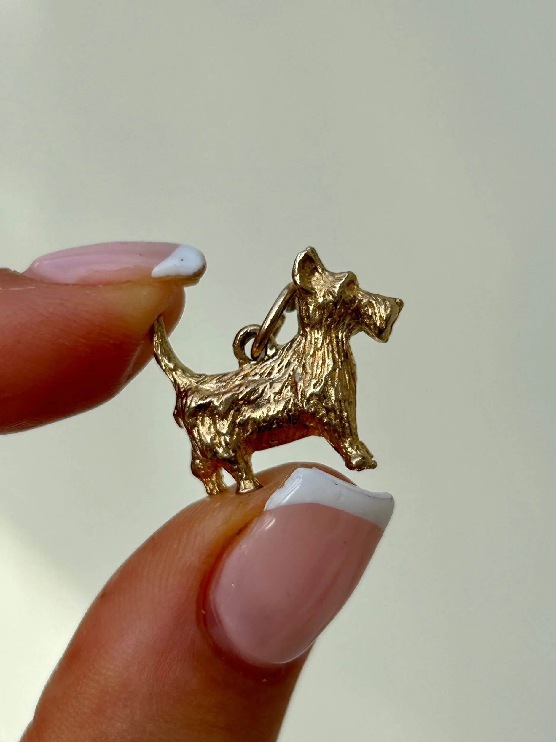 5B0F960D-D666-4911-B89A-2D729C510684