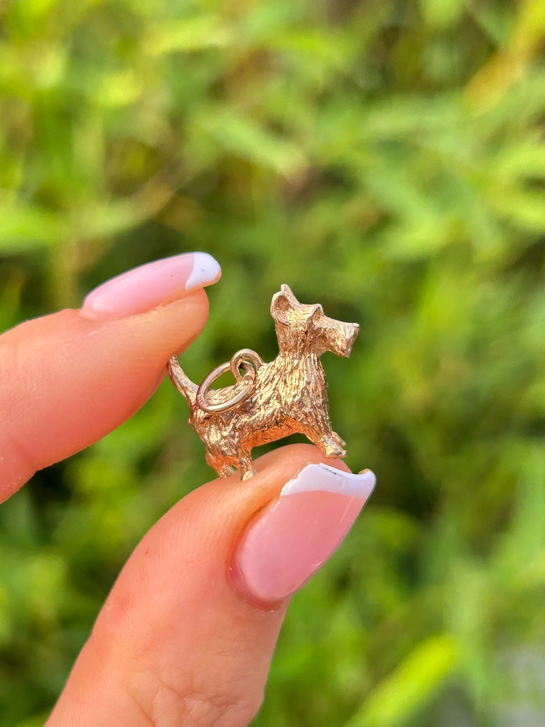 230B36CC-40A2-43CF-B004-8A3035F88DBF