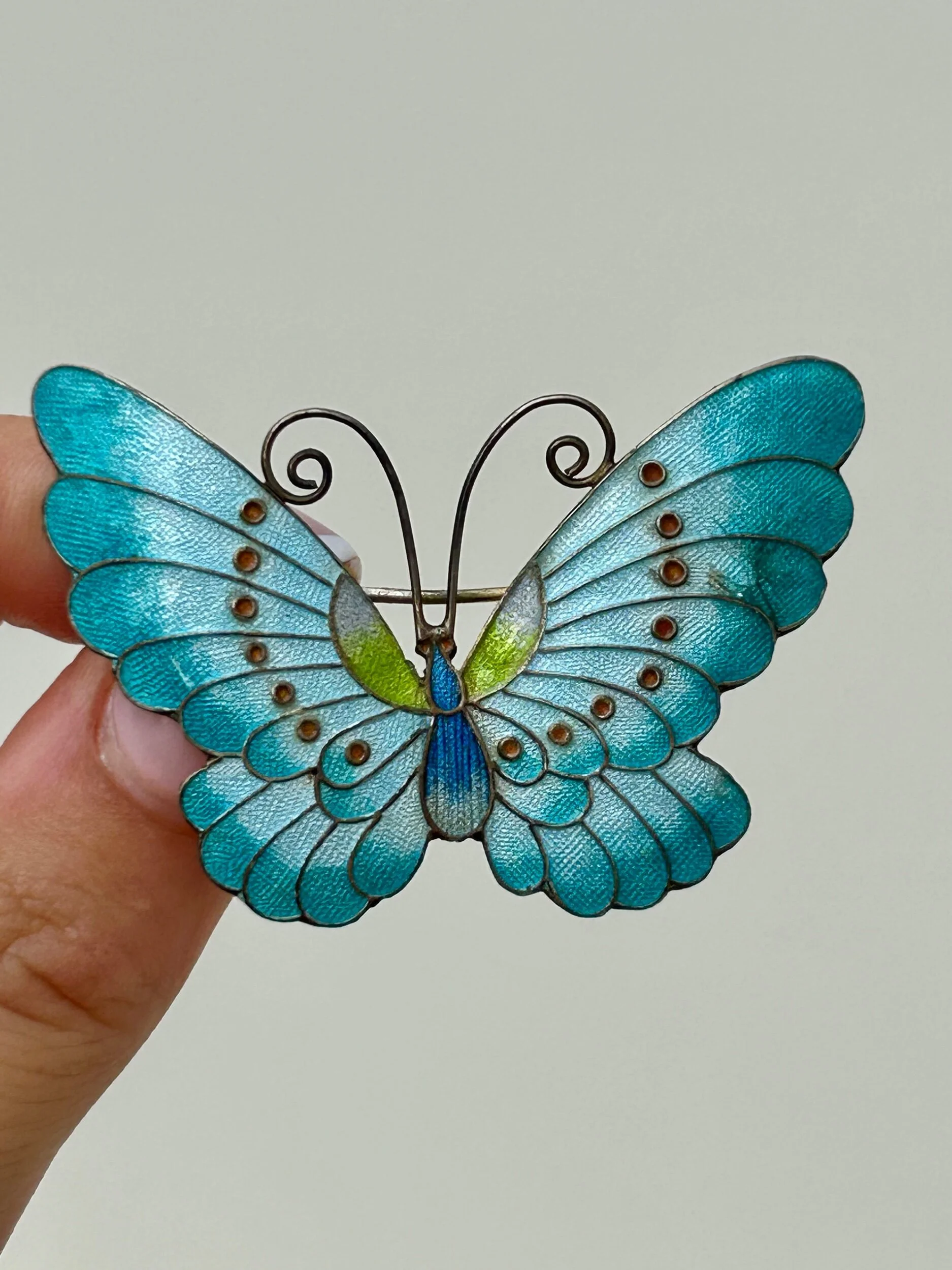 C4196B2F-6828-4443-BB27-7D2C08FA6CC4