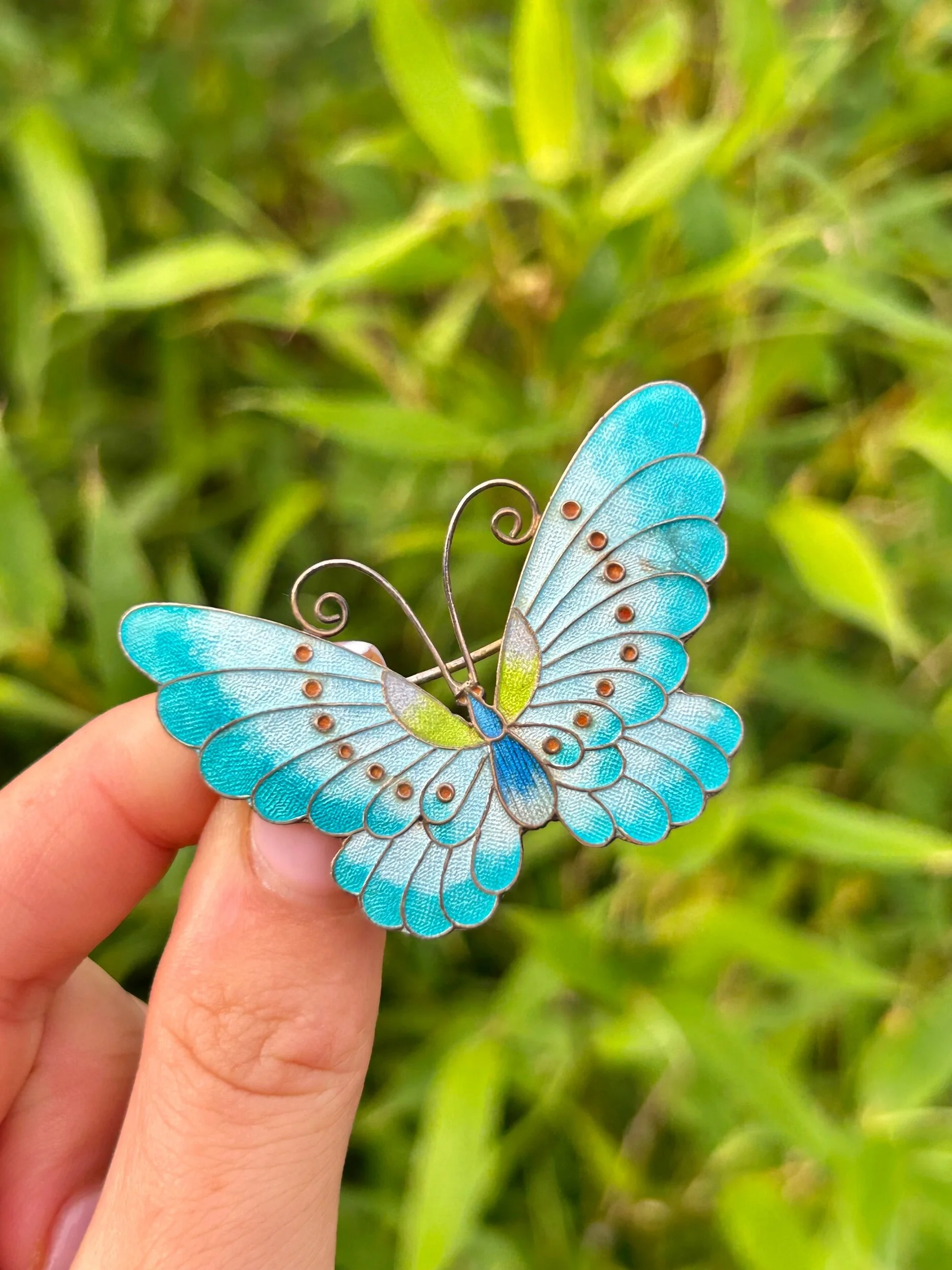 06473E9C-35B3-41FE-A36E-050D3CE5D166