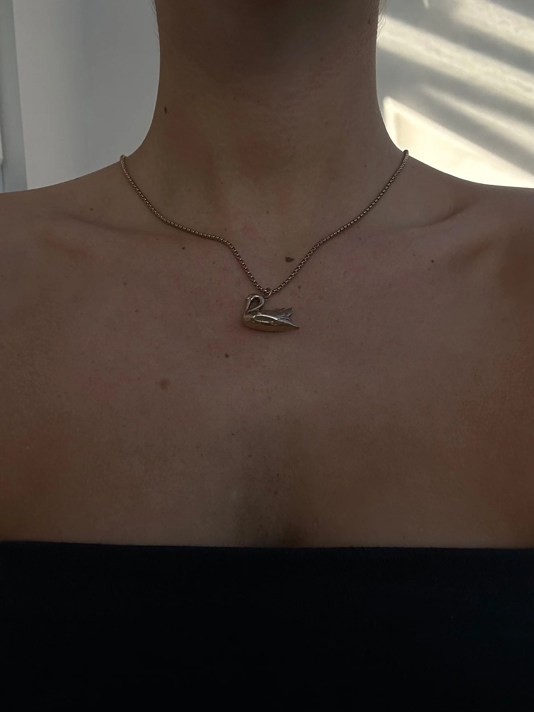 D95020FA-37EE-4F94-B893-96B547C85FA5