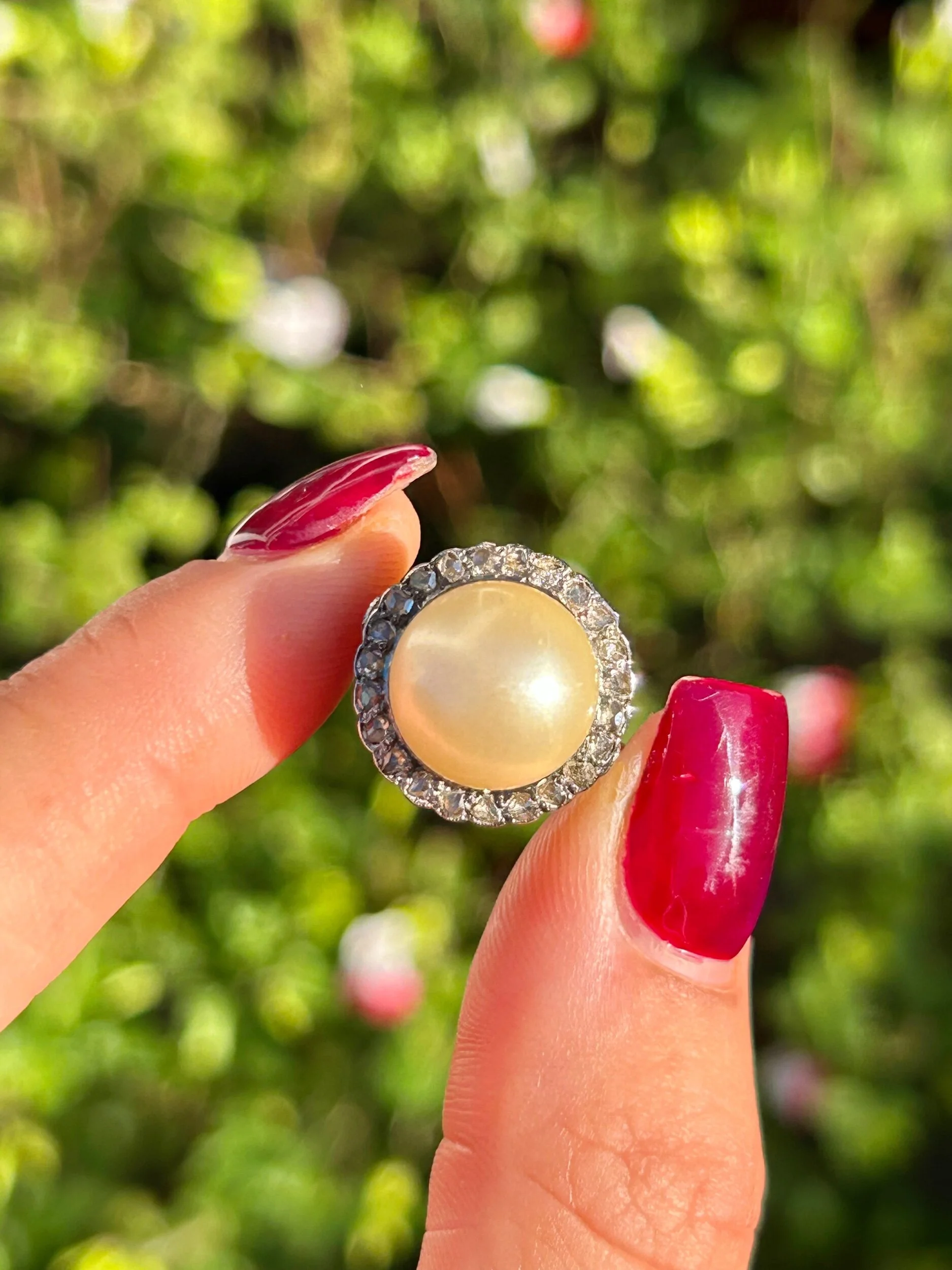 5F57AD0A-941B-4844-B077-2BECEB4A3704