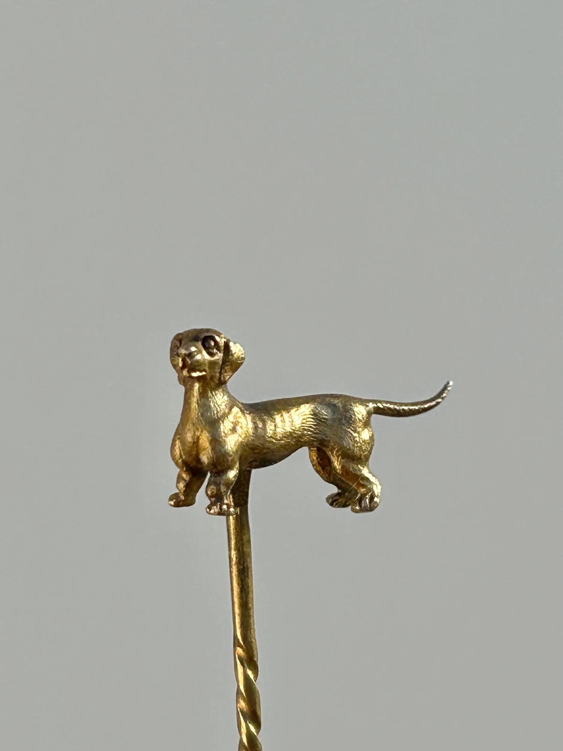 9011B468-34E1-4EA5-8F5D-6EA109C519FE