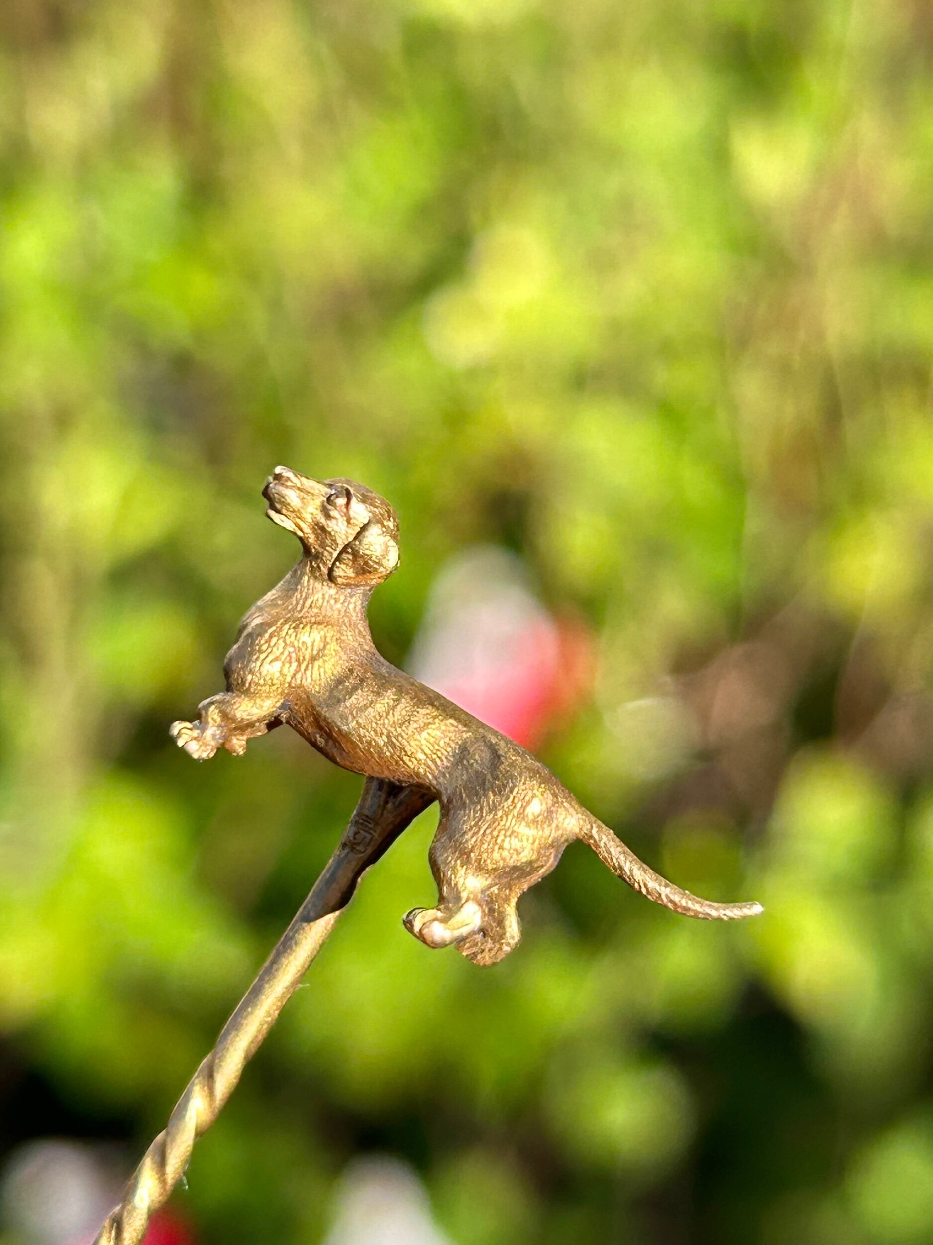 C60434DB-AE05-4FF6-B30A-0E027FEE8DB3