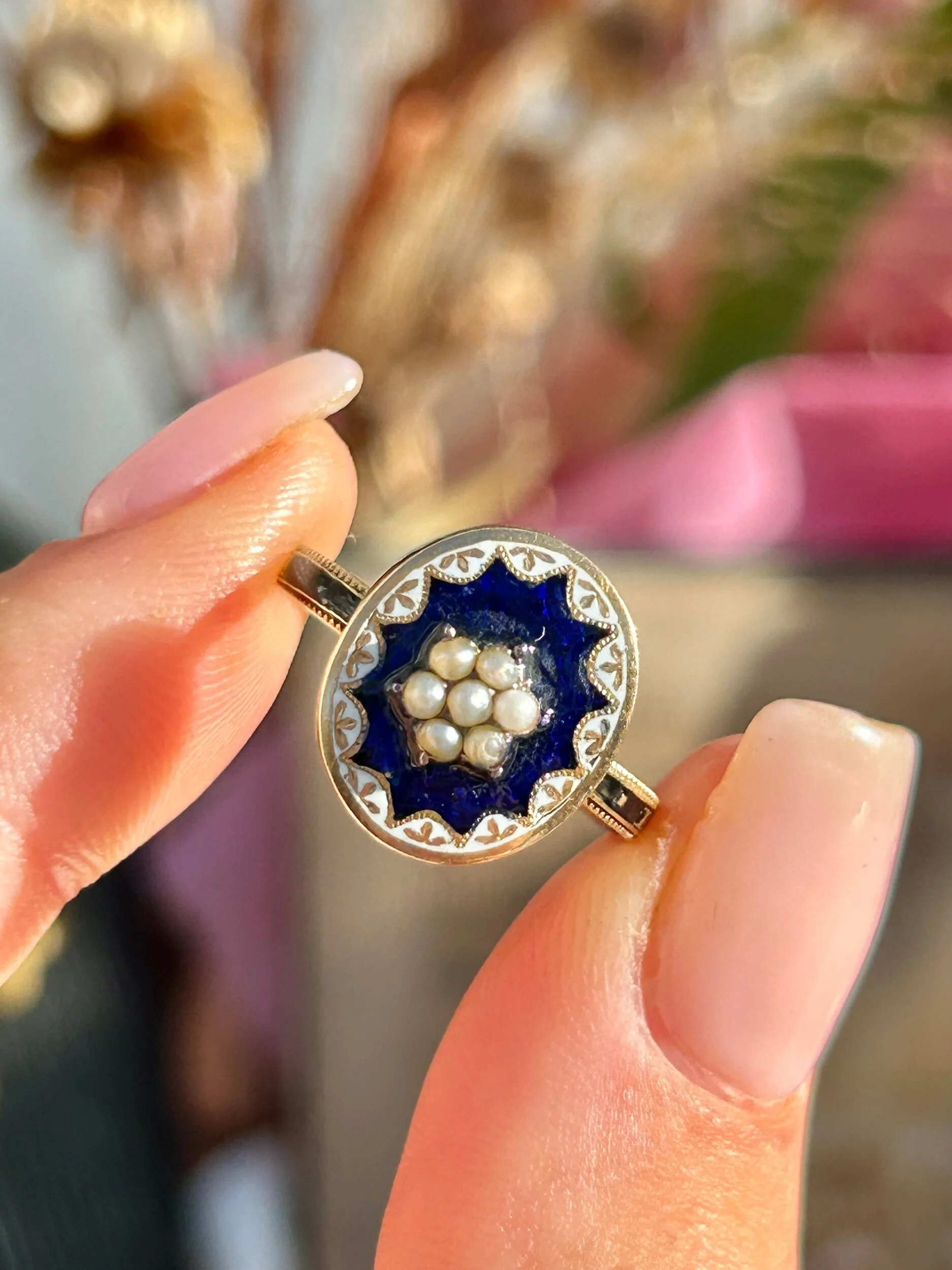 05204573-A943-4963-BADC-329561B951DC