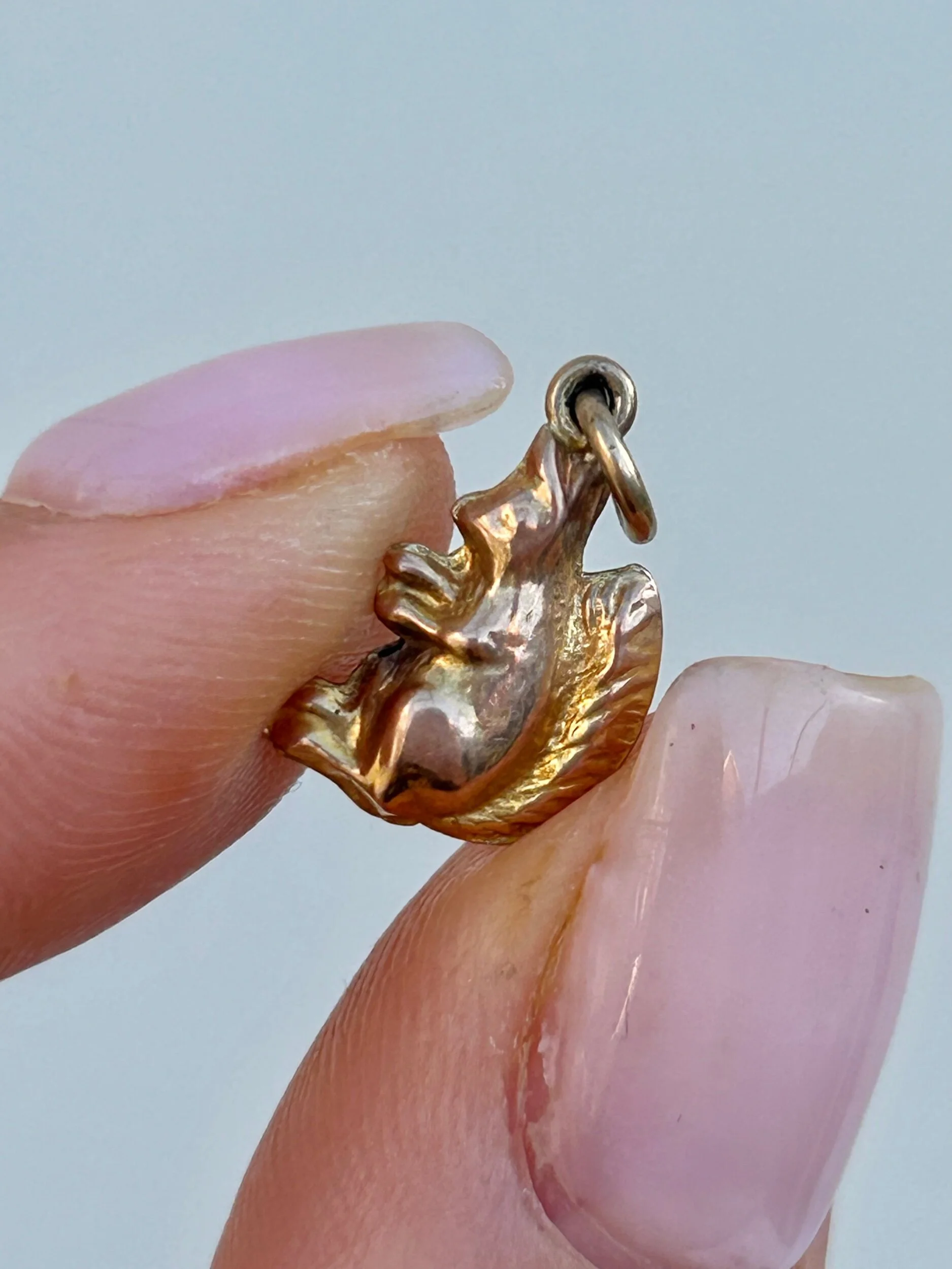 986E96DB-8221-4FEB-BB98-DDA0955FFD98