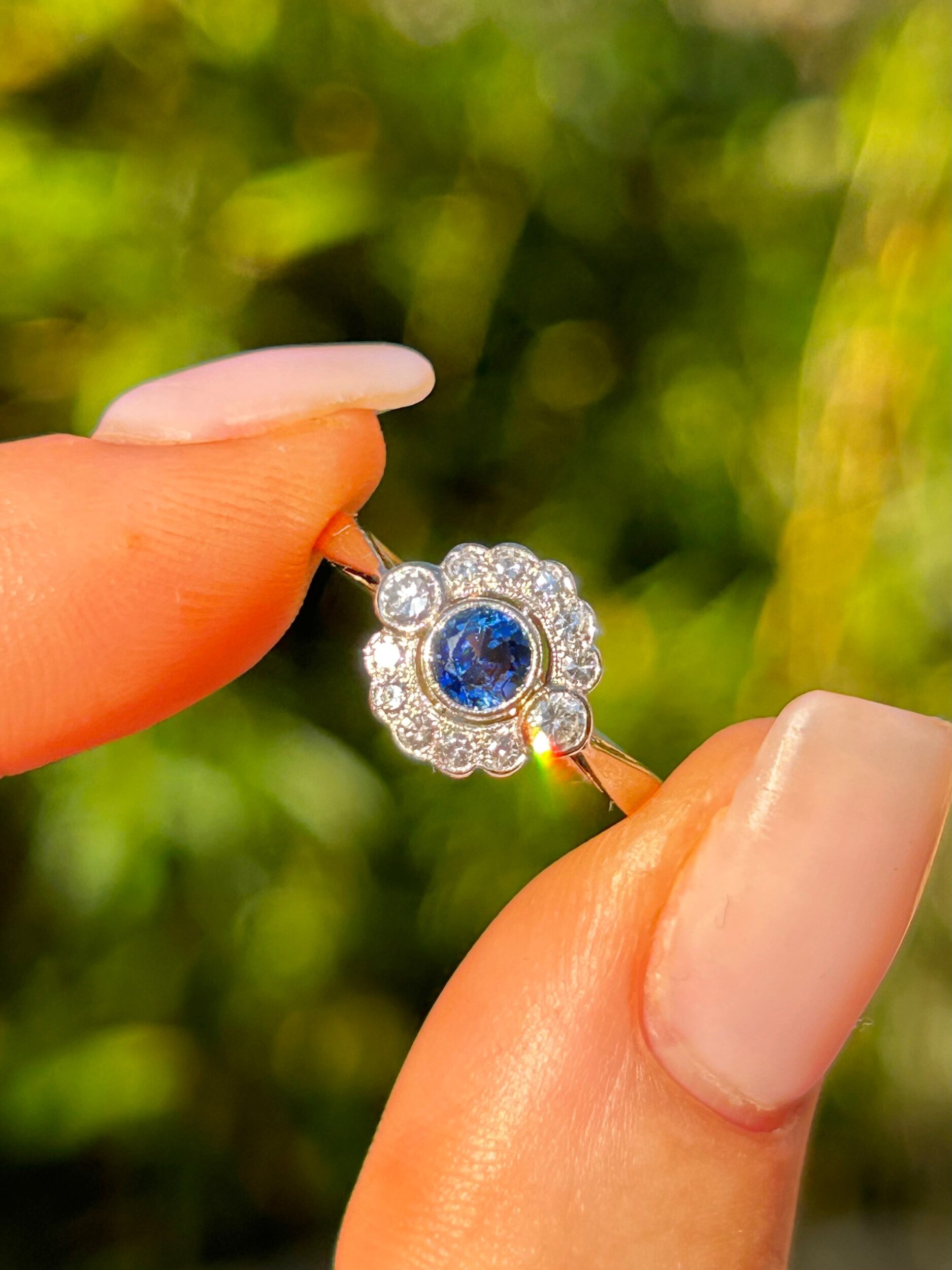 F1CF3F7C-D757-44DA-B5F3-84CD88C2937B