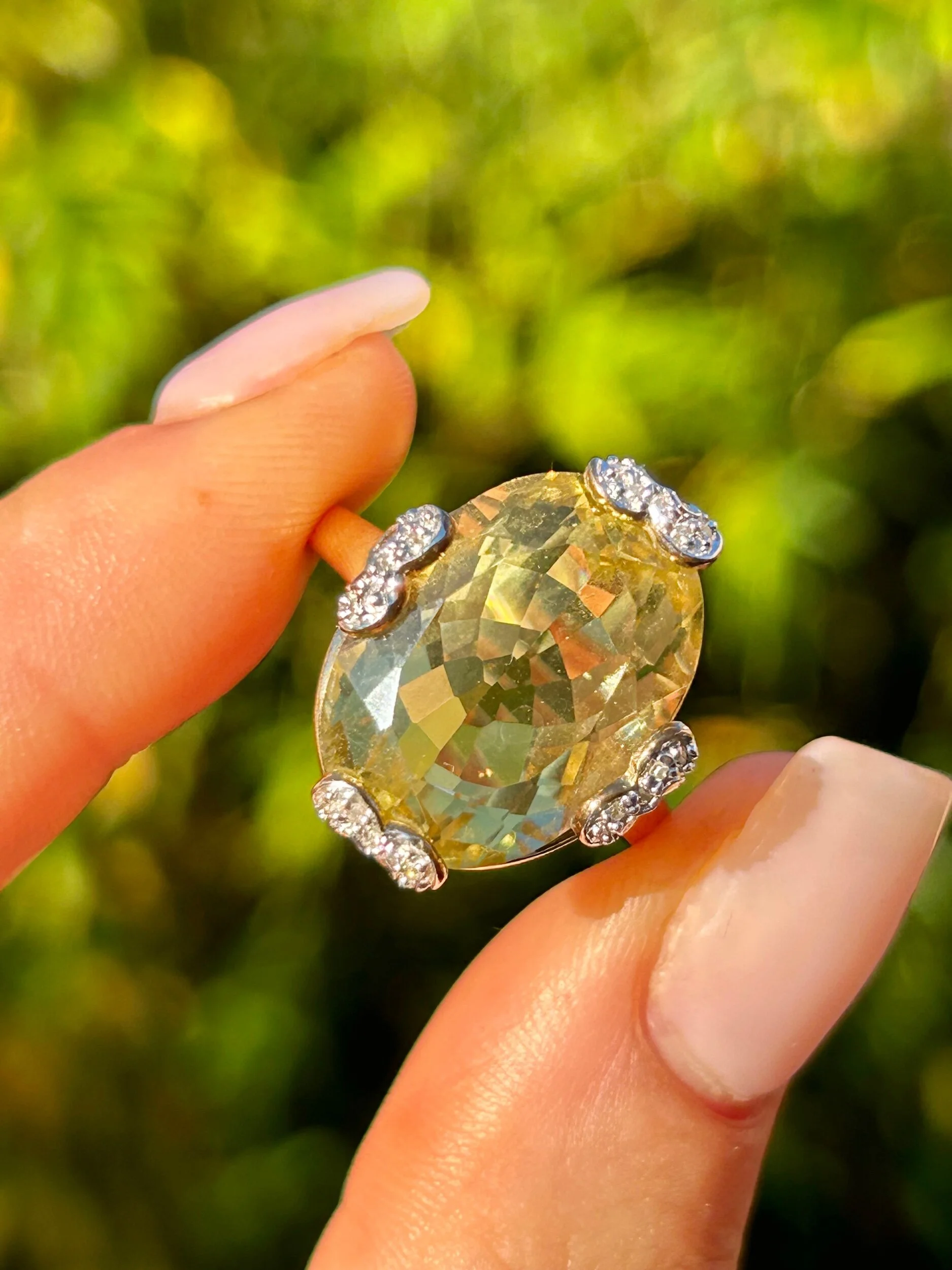 2A0CC11C-F658-4222-A6A7-F3C15AFCA9C3