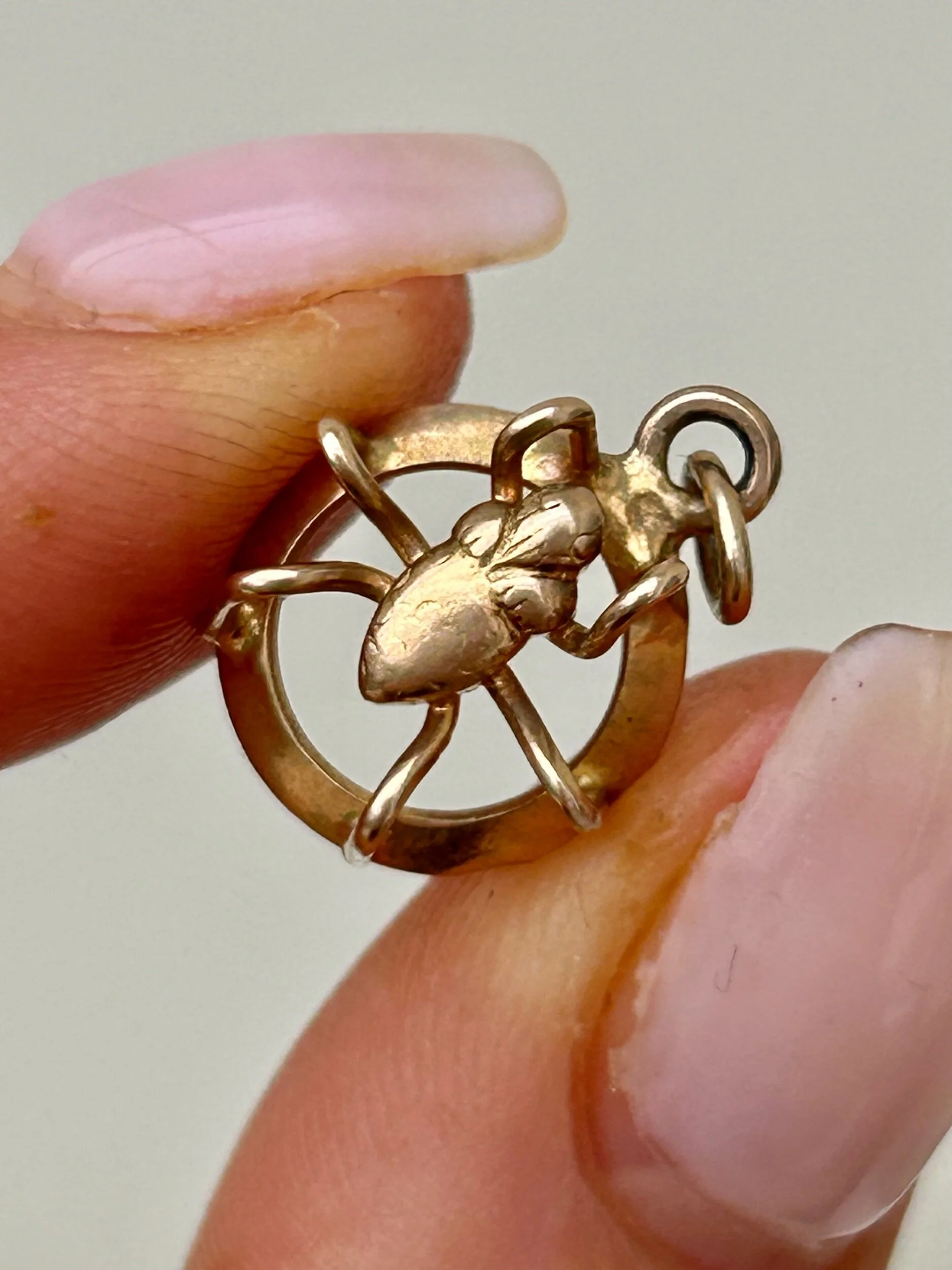 A841AC8E-C713-4B12-B0F7-EBC3ADFFE5BB