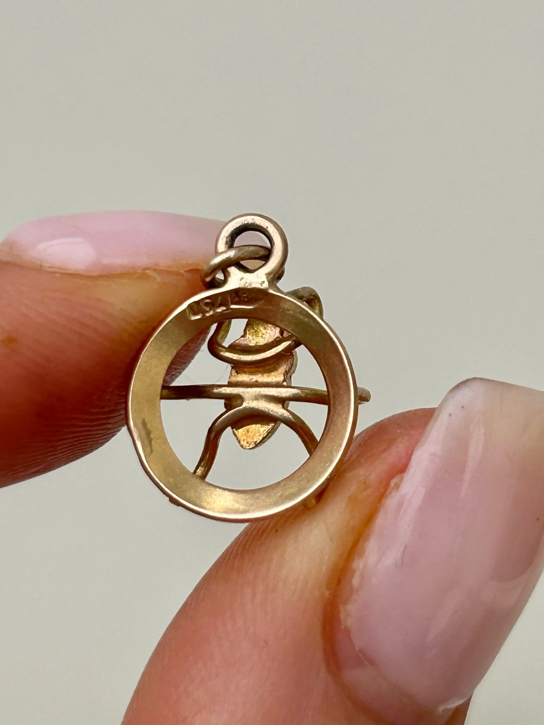 56548BAA-9AE0-4769-A219-733D5EDF49B2