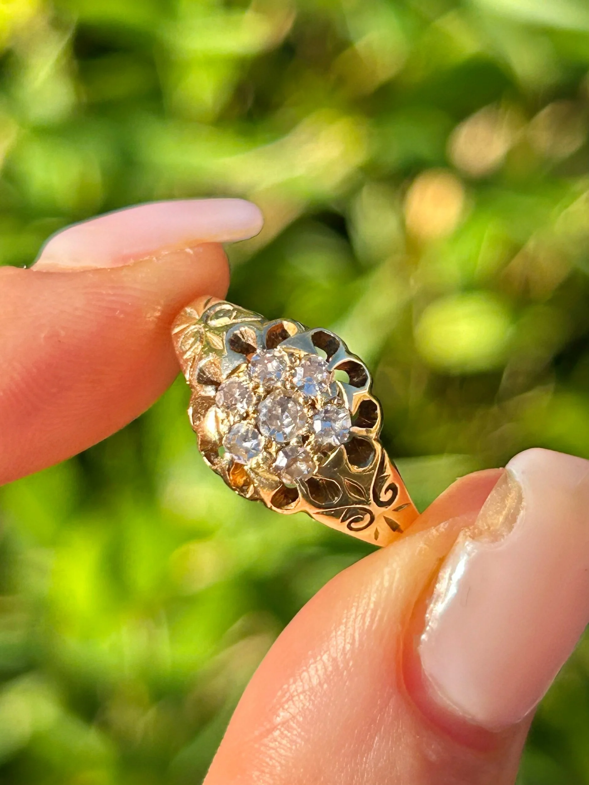 1177A2C4-CBC6-46DF-8DC9-035992CA89EC