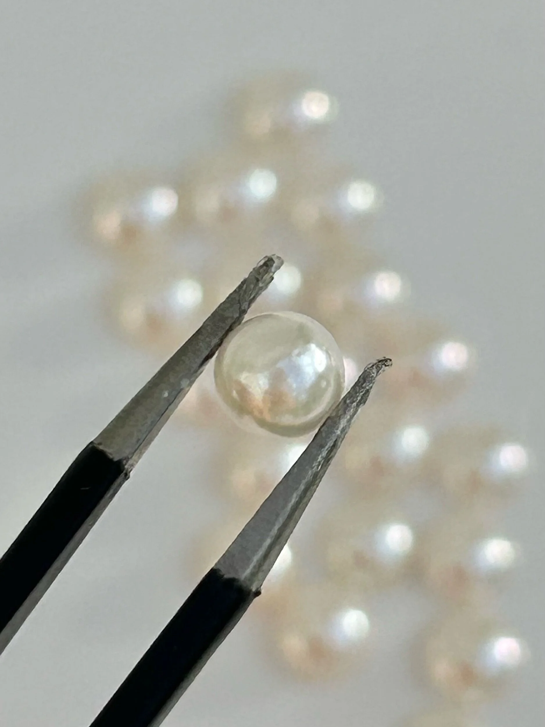 C9FD3770-9598-4585-A164-EB241D20EC93