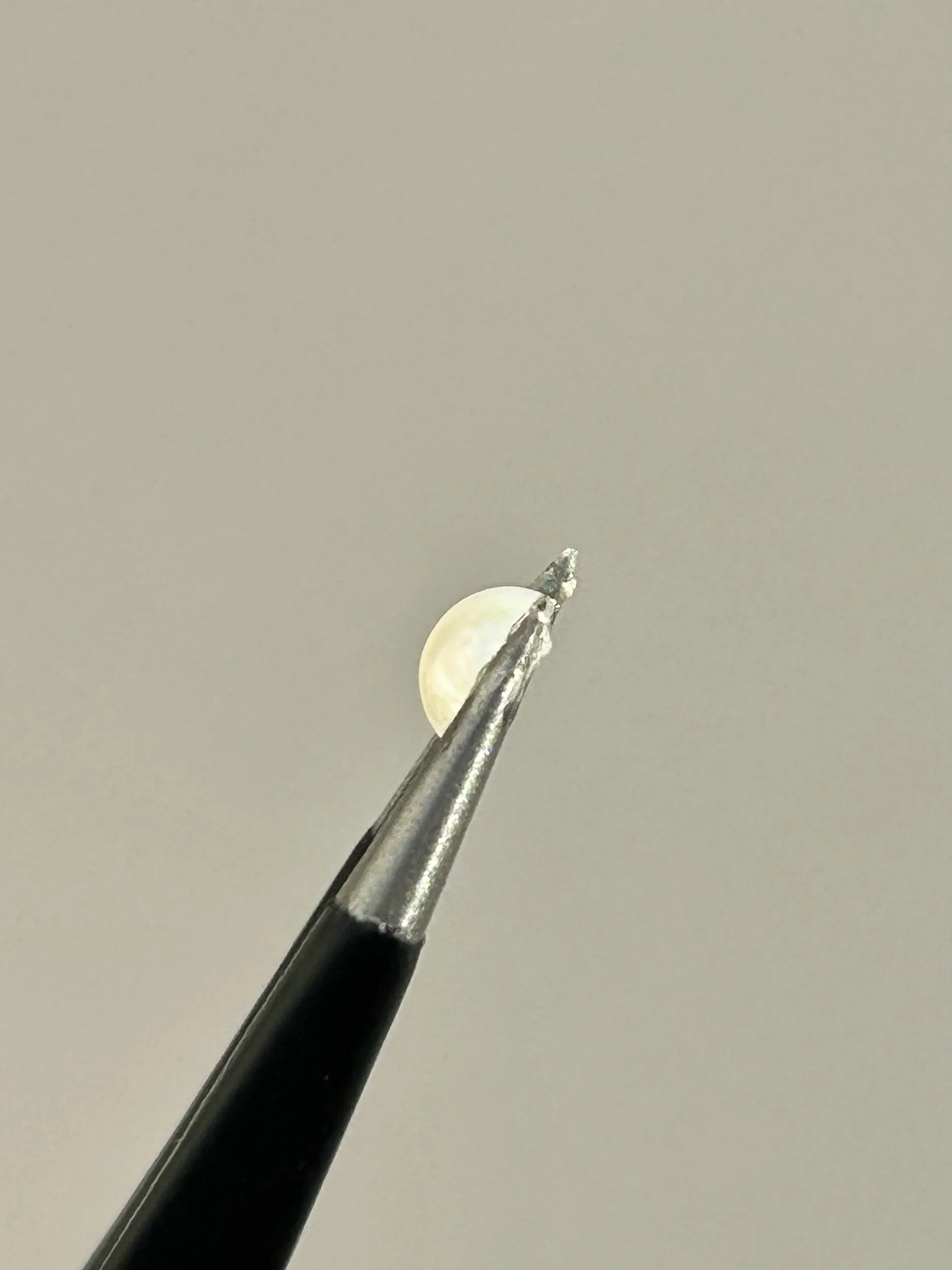 FB313A8A-8D3A-4F7F-BF76-6D019269833C