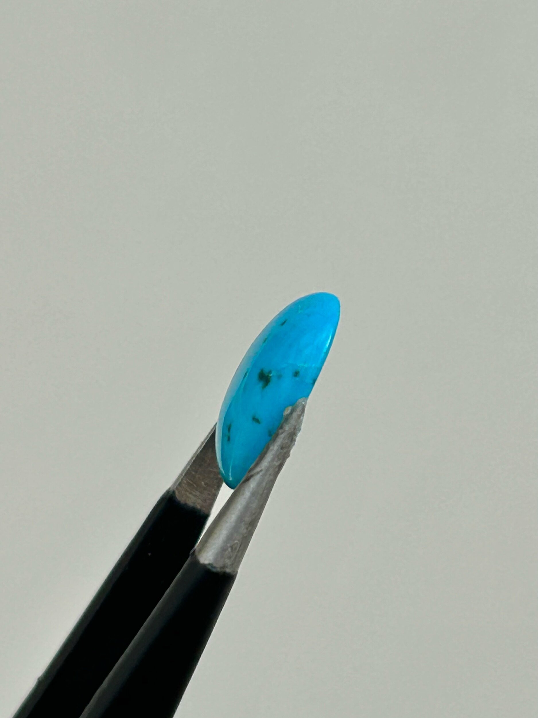 E6F869DD-ABDA-47CF-8FE0-E59C9AEC2CFE